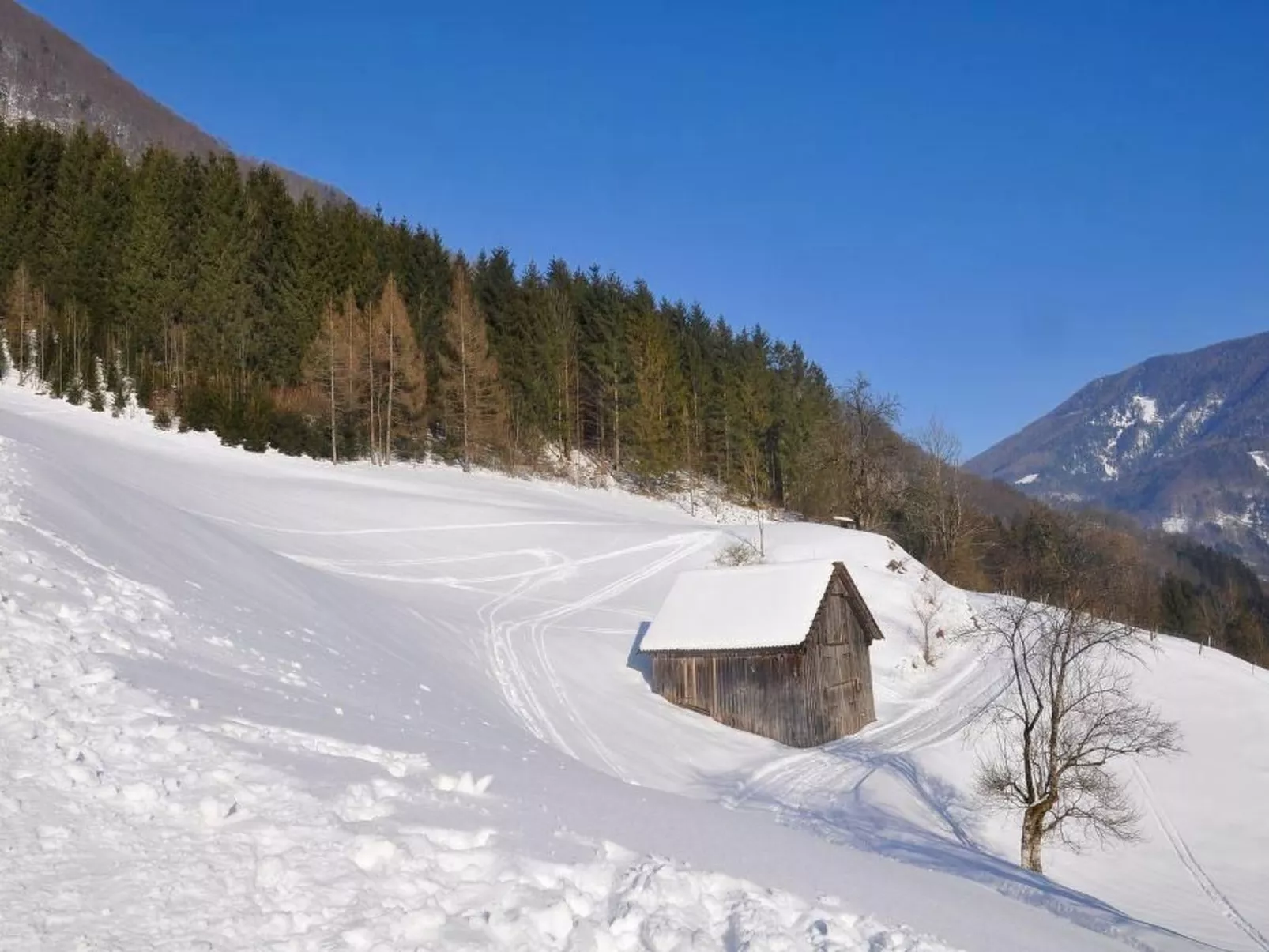 Flössersteighütte-Outside