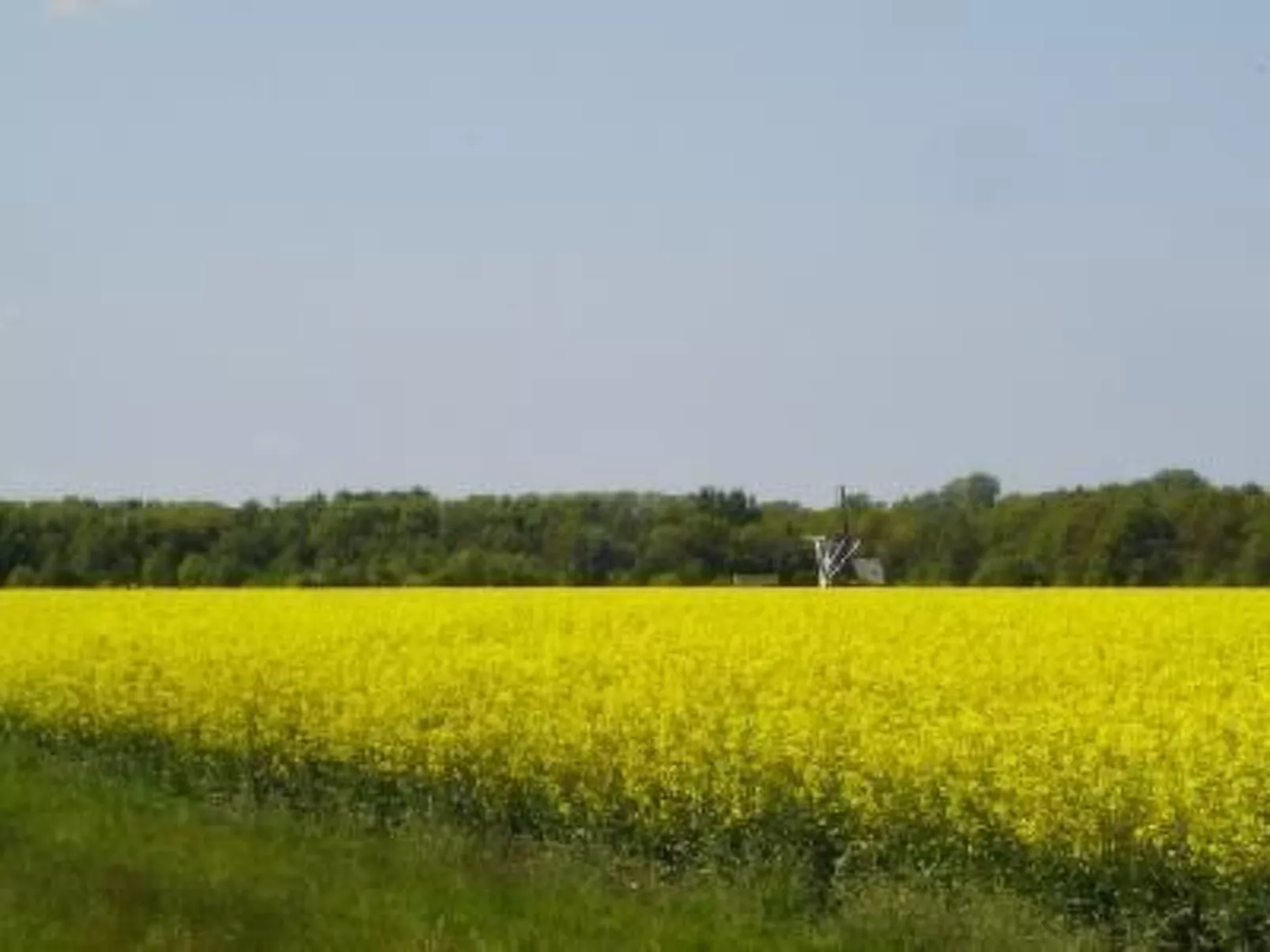 Gemütlicher Ferienhof Loosternest in Vriescheloo-Outside