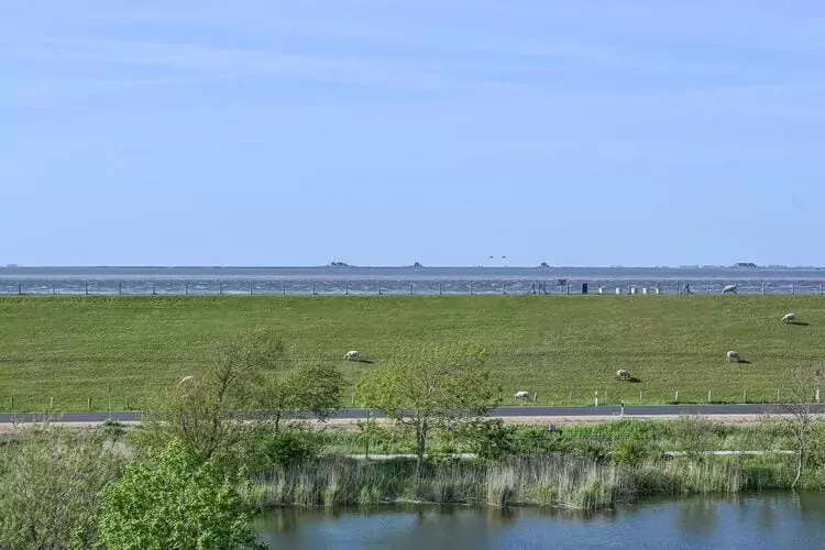 Penthouse Küstenzauber auf Nordstrand 3 Personen-Vue d'été