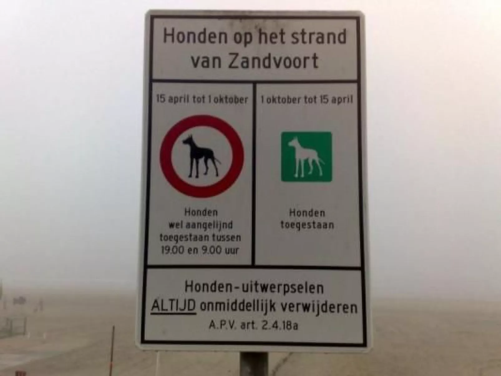 Wohnung in zentraler Lage in Zandvoort-Image-tags.info