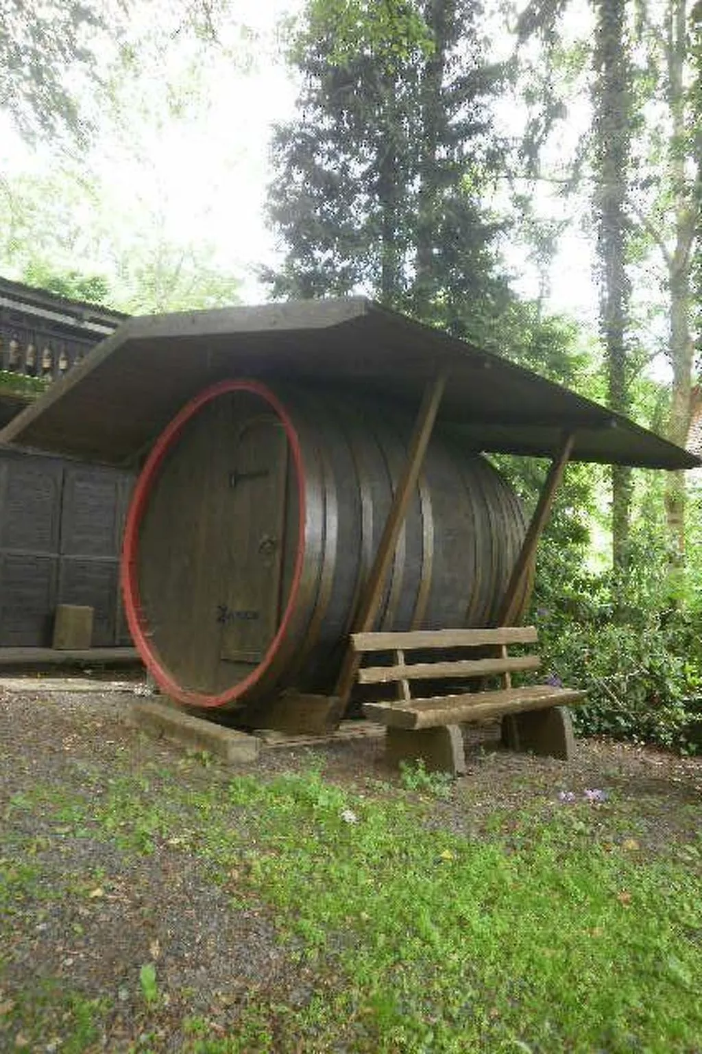 Ederseeblick in Bringhausen am Edersee-Draußen