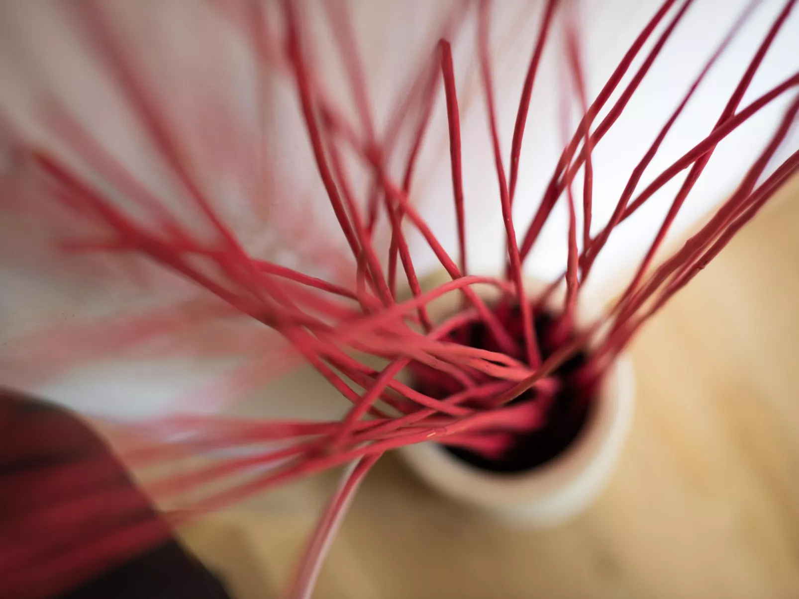 Appartement in Zasip mit Möblierter Terrasse-Drinnen