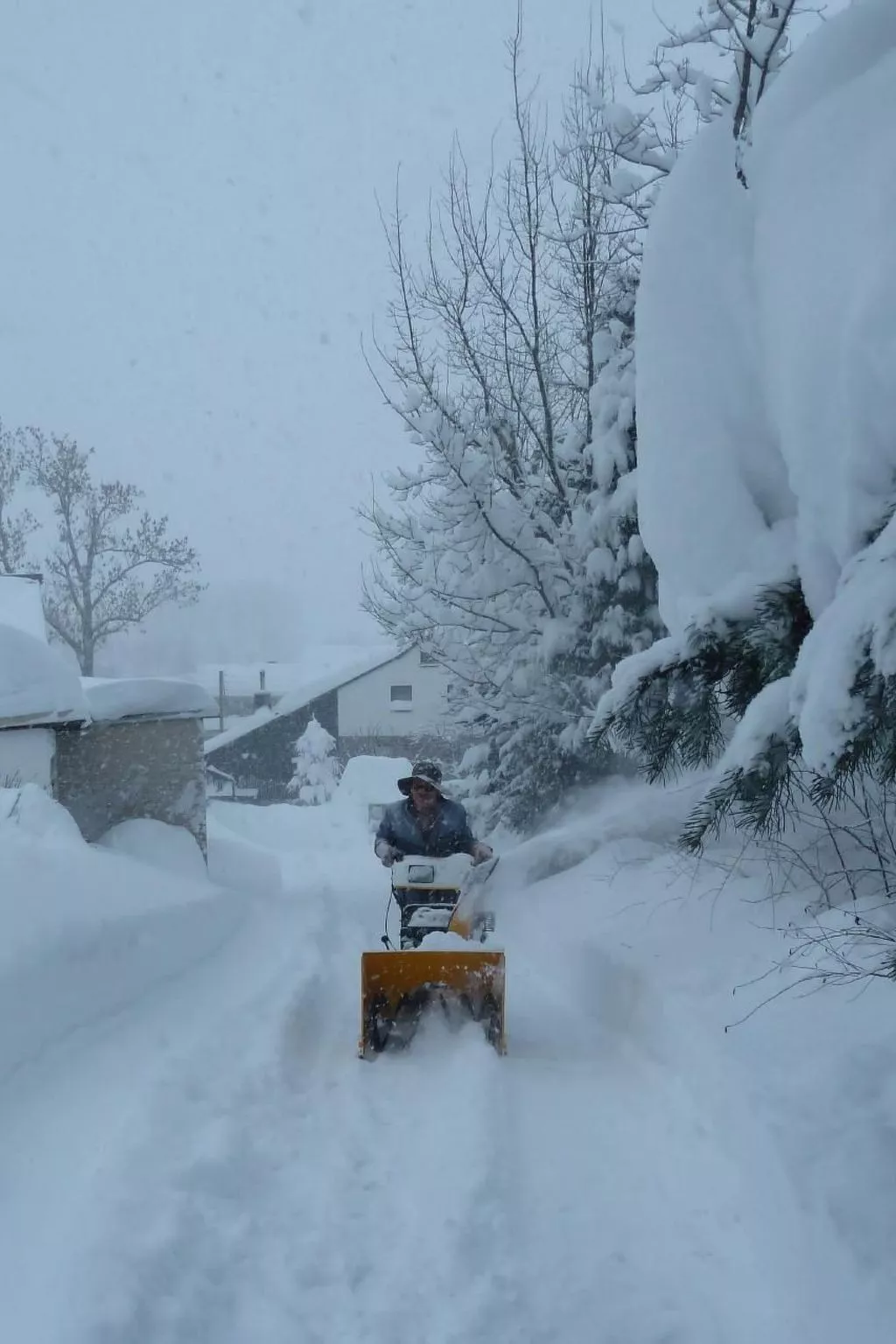 Pügner-Image-tags.info