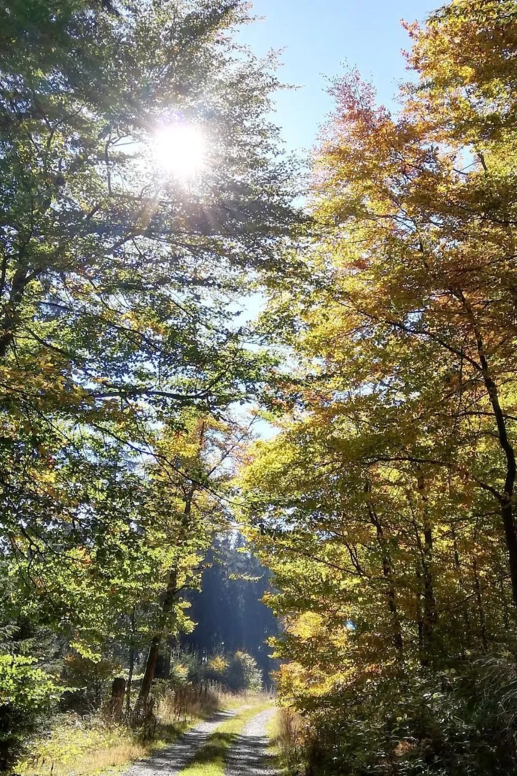 Haus Schnurbus - Outside