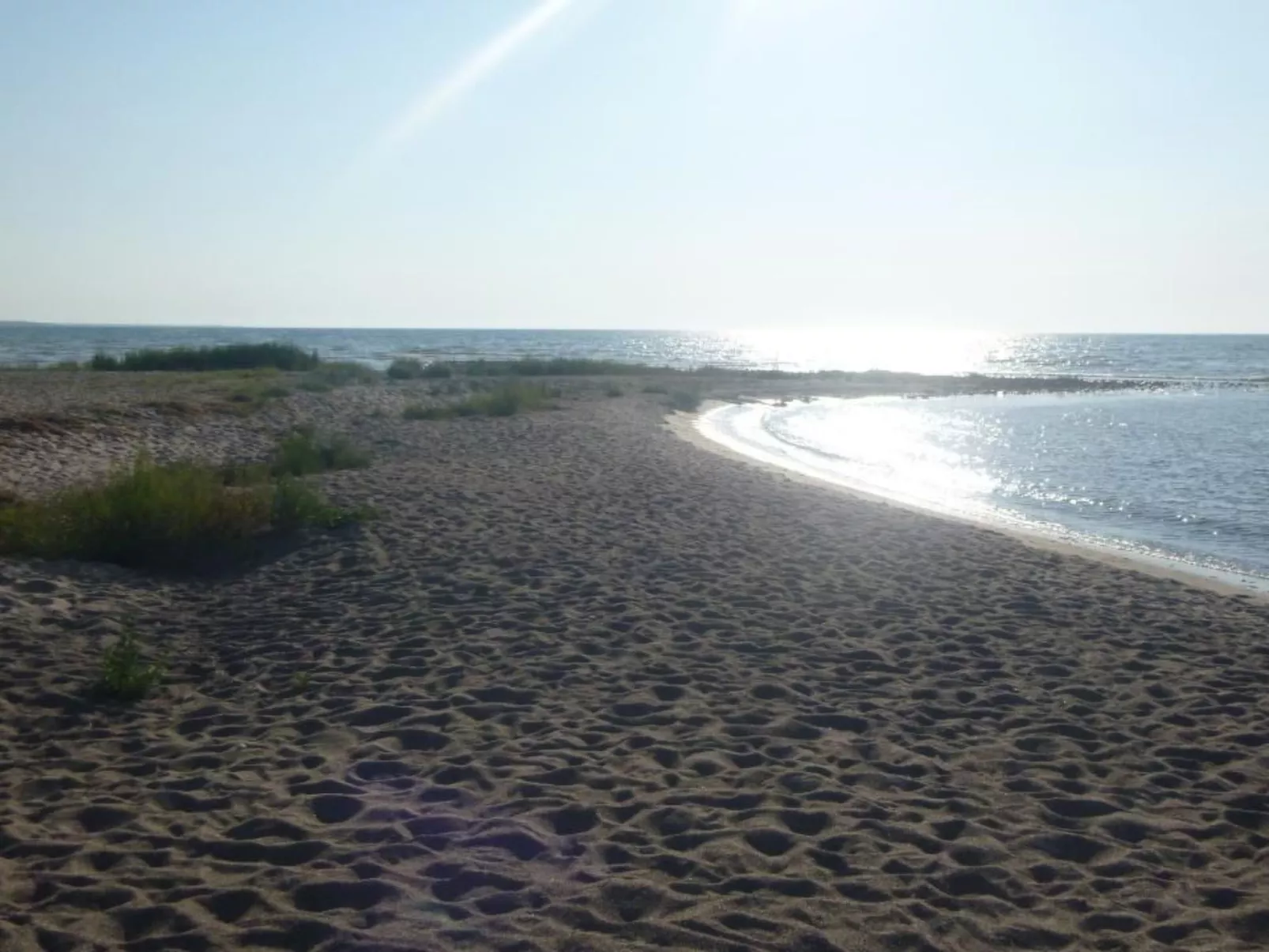 Ljugarn 1-Image-tags.info