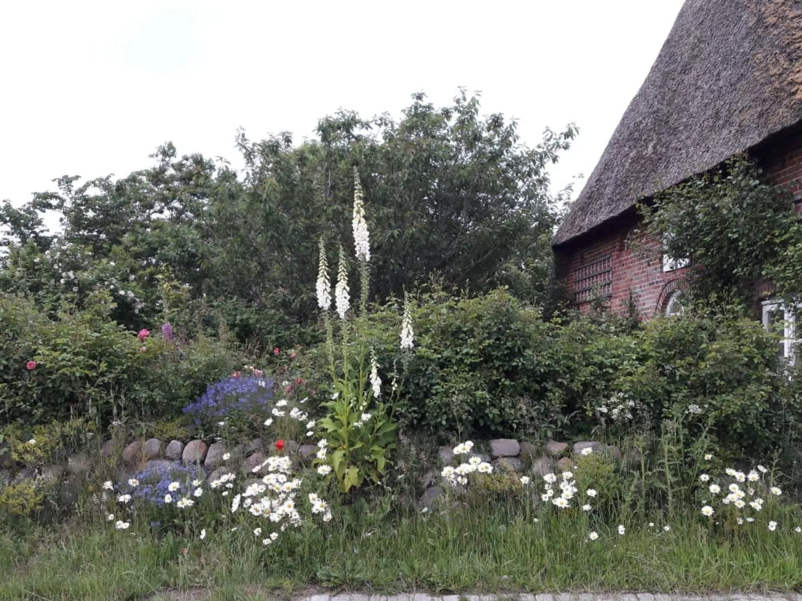 Fewo Meeresbrise-Outside