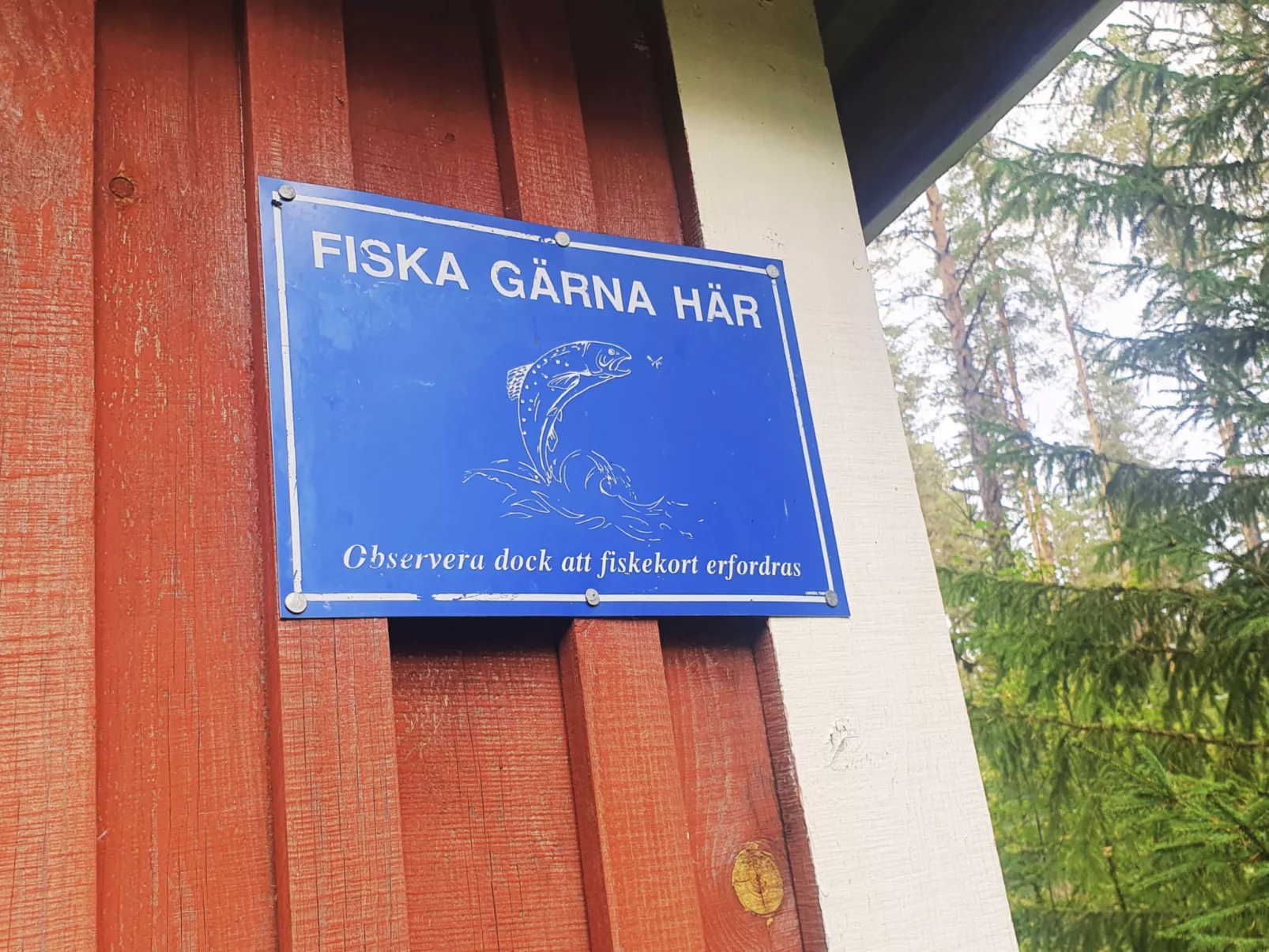 Gemütliches Ferienhaus Angermanland - höga Kusten-Draußen