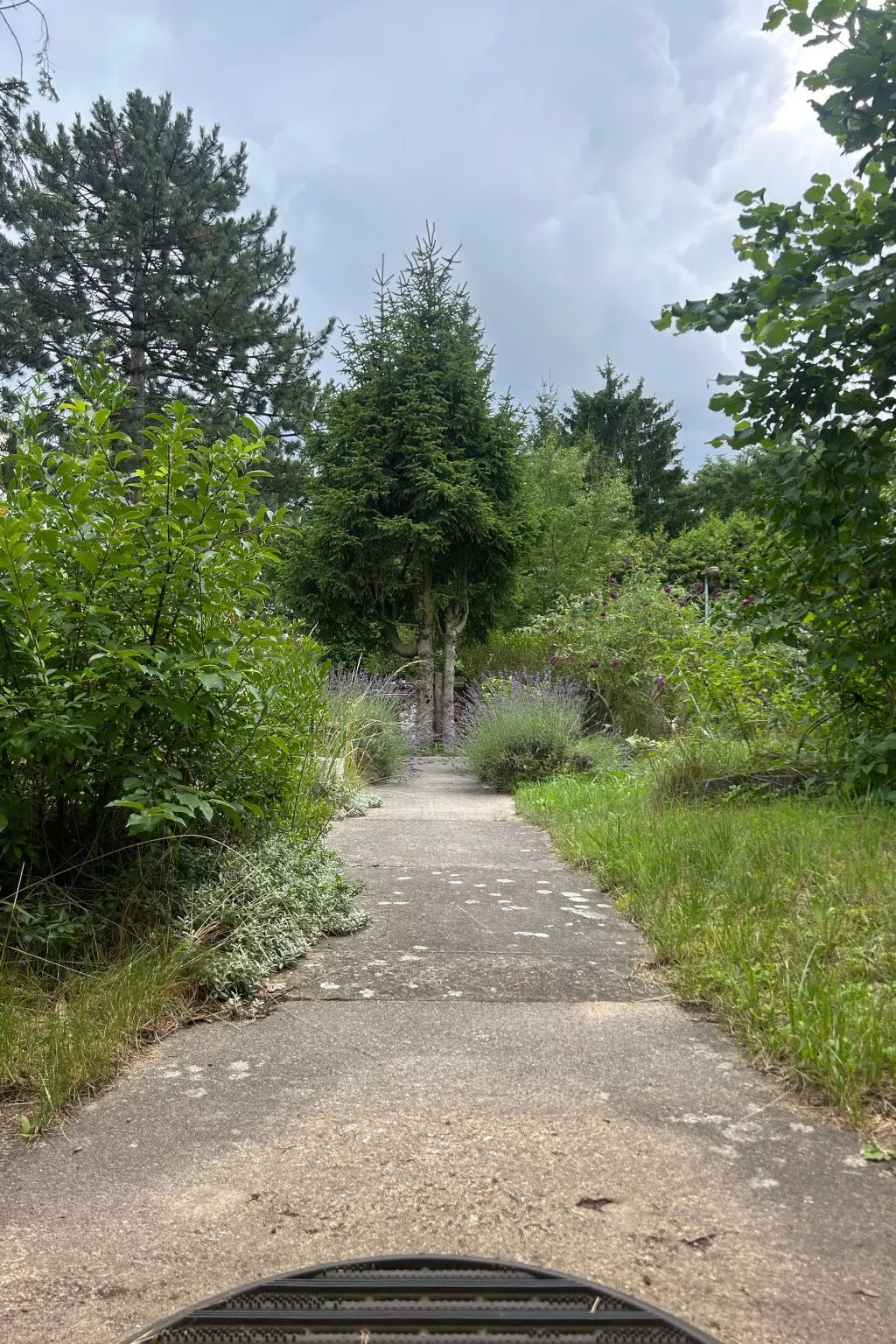 Datscha im Grünen-Draußen