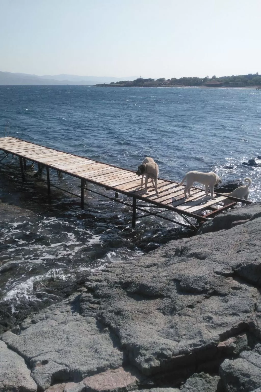 Assos Sivrice Gästehaus-Outside