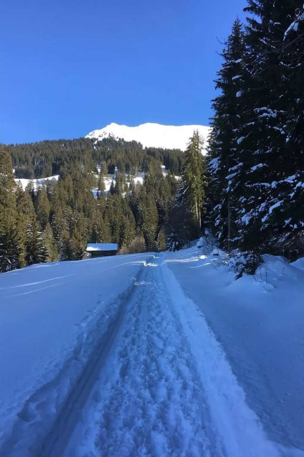 Fewo mit Herz-Draußen