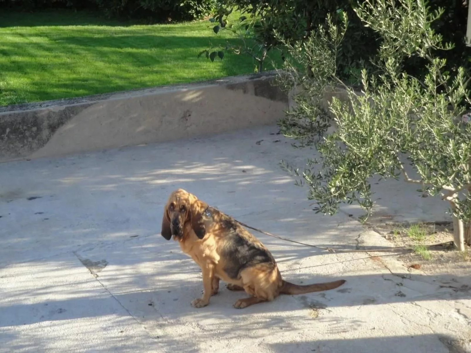 Apartment TOP 2-Image-tags.info