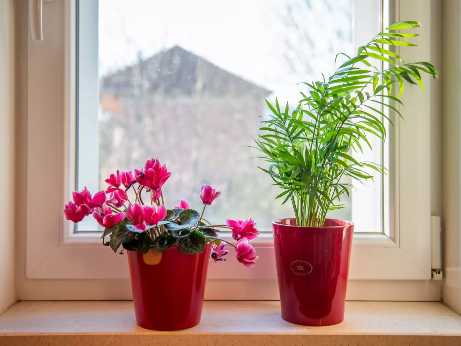 Gemütliches Ferienhaus Mia-Dedans