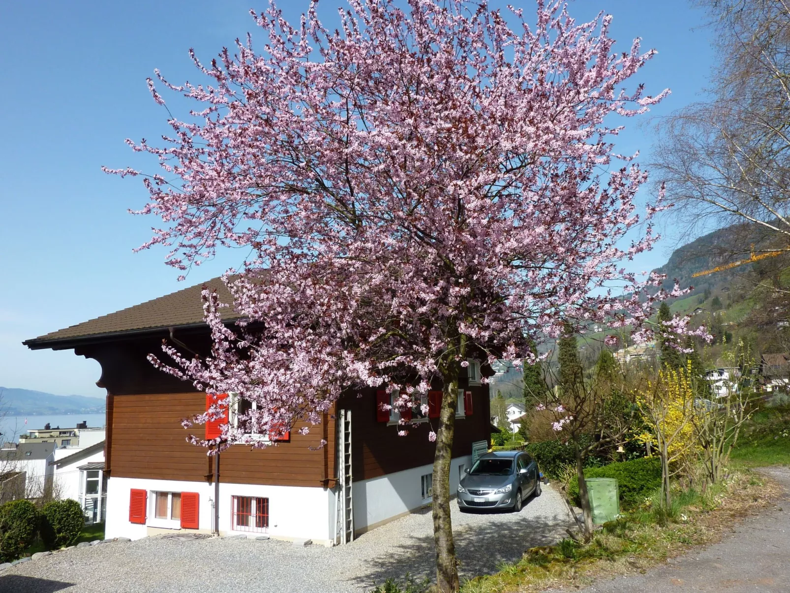 Chalet Bärgblick-Dehors