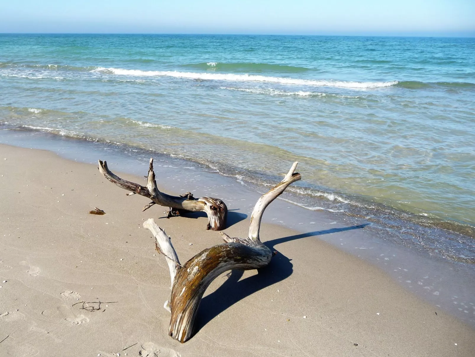 Wiesenblick 6-Outside