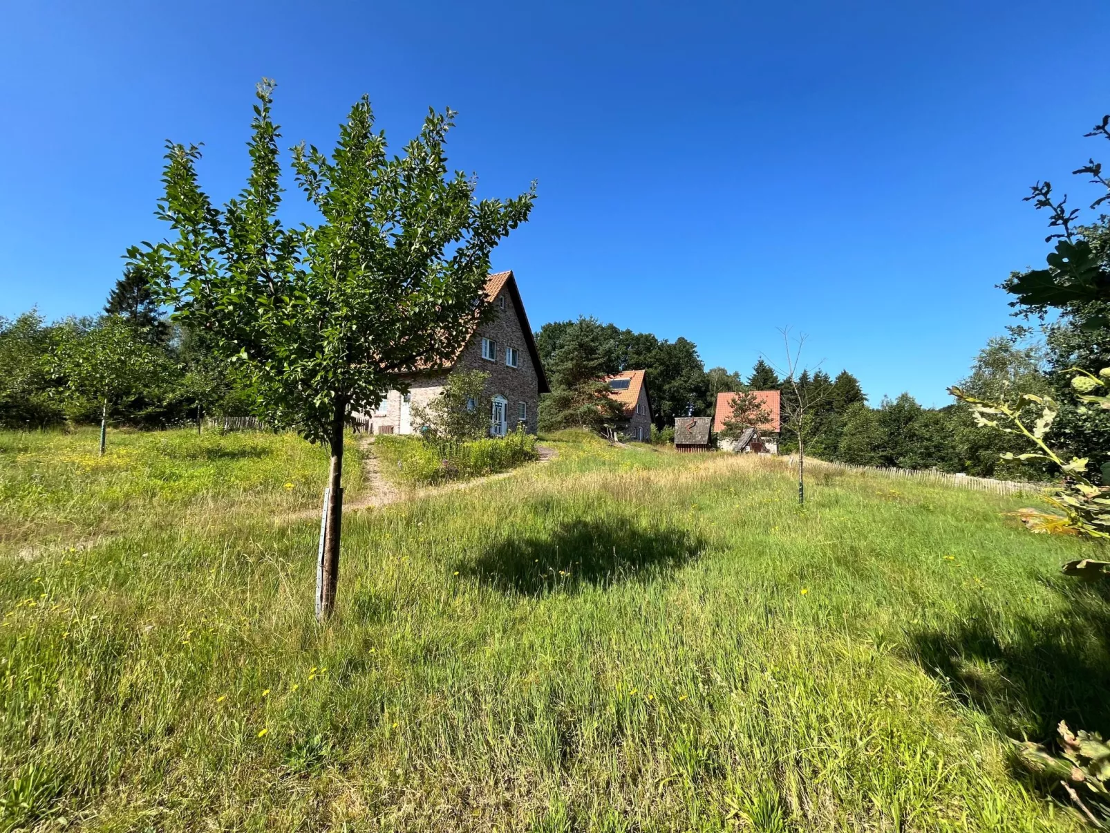 Haus Hartriegel im Bispinger Heidezauber-Outside