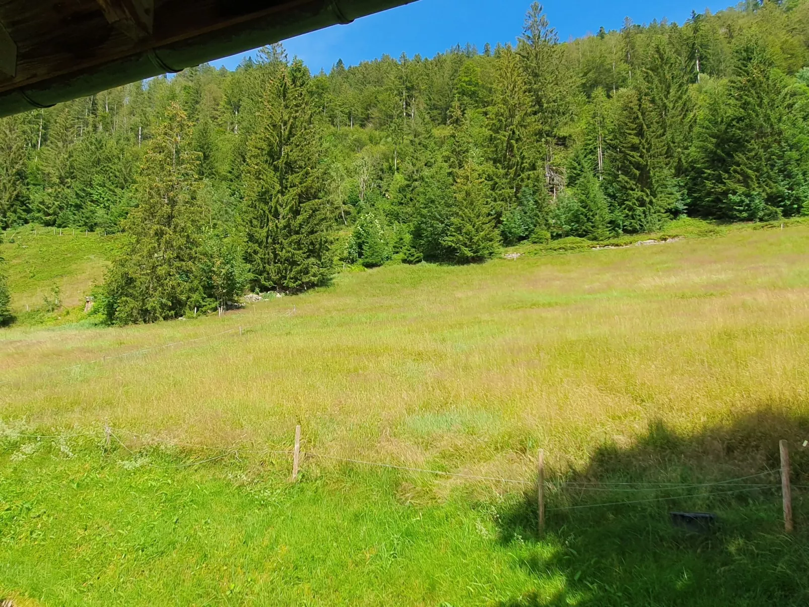 Gästehaus a Feldberg-Draußen