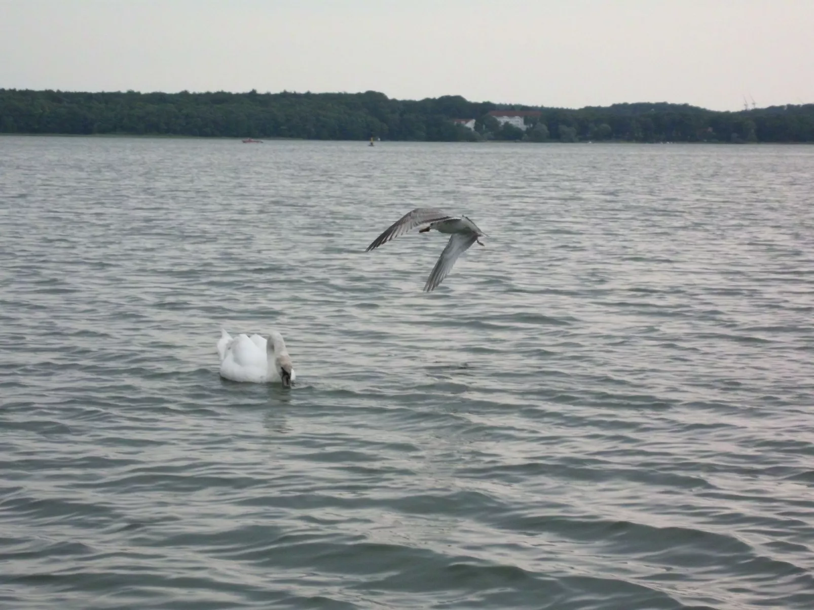 Haus Seeperle 1-Dehors