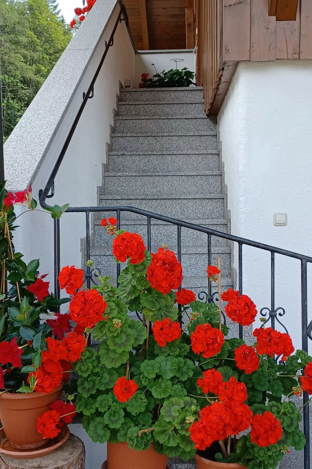 Haus Heistracher-Draußen