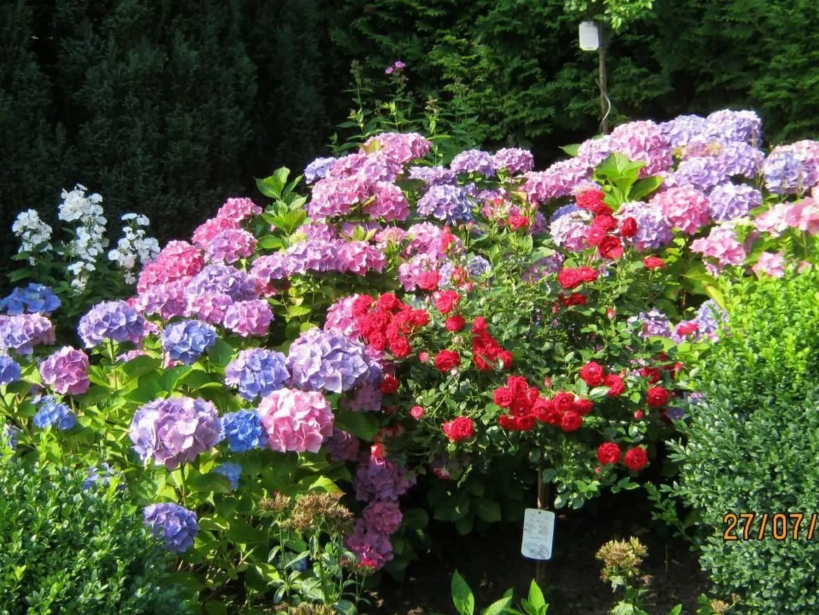 Traumferienwohnung in Hitzacker ot Bahrendorf-Outside