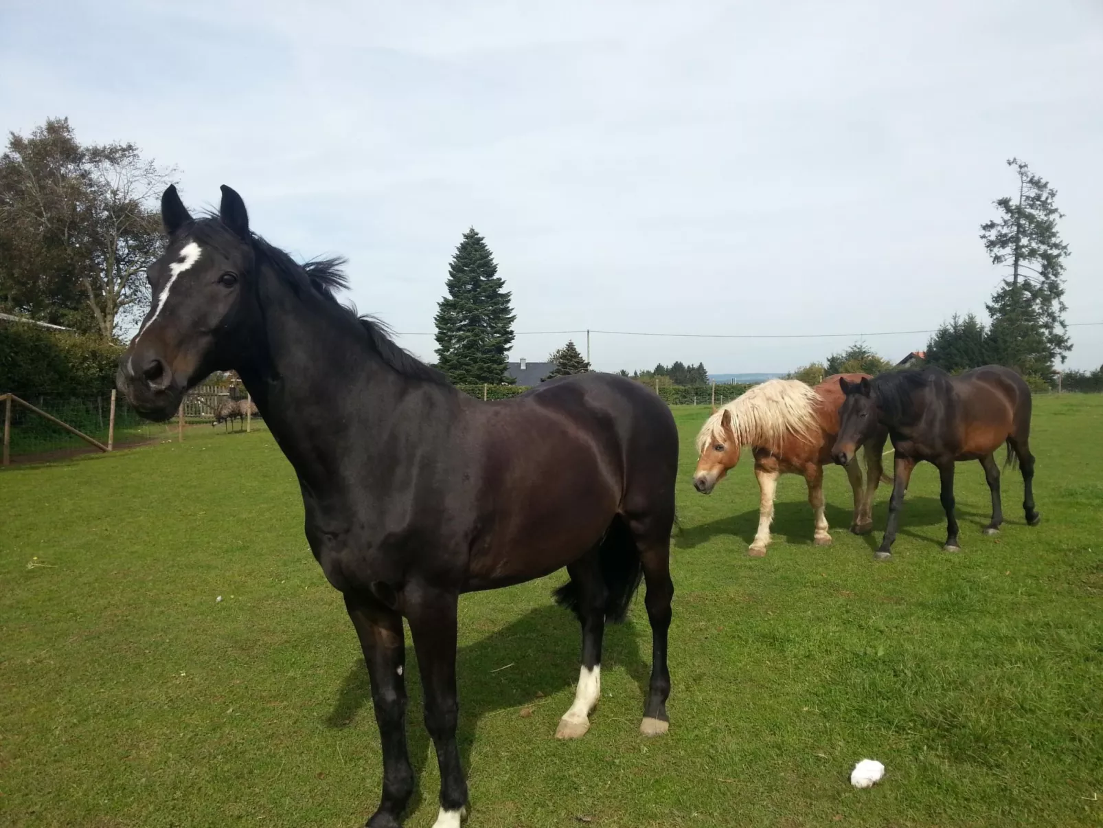 Scheunen Nest-Draußen