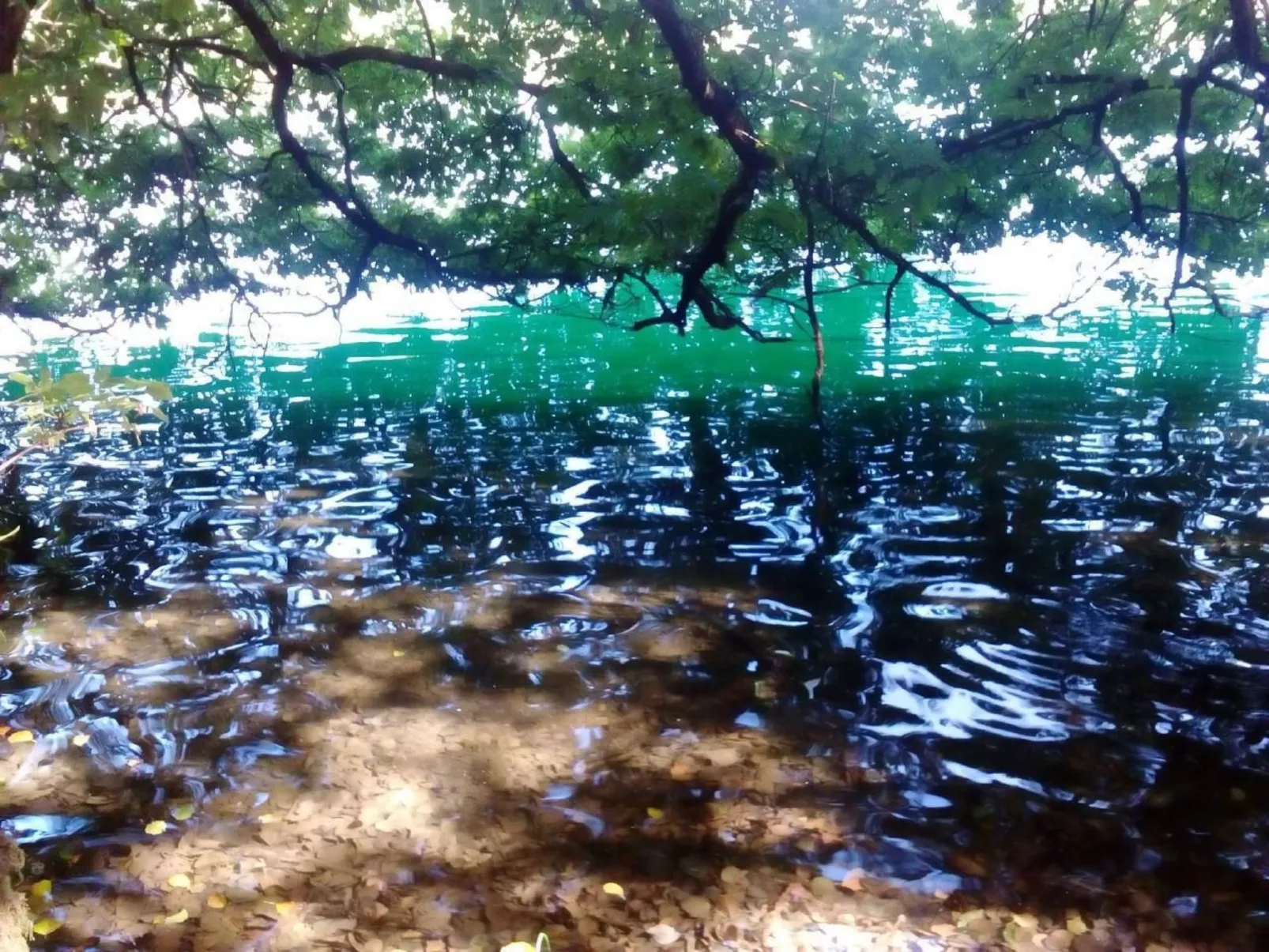 Landhaus Erika-Dehors