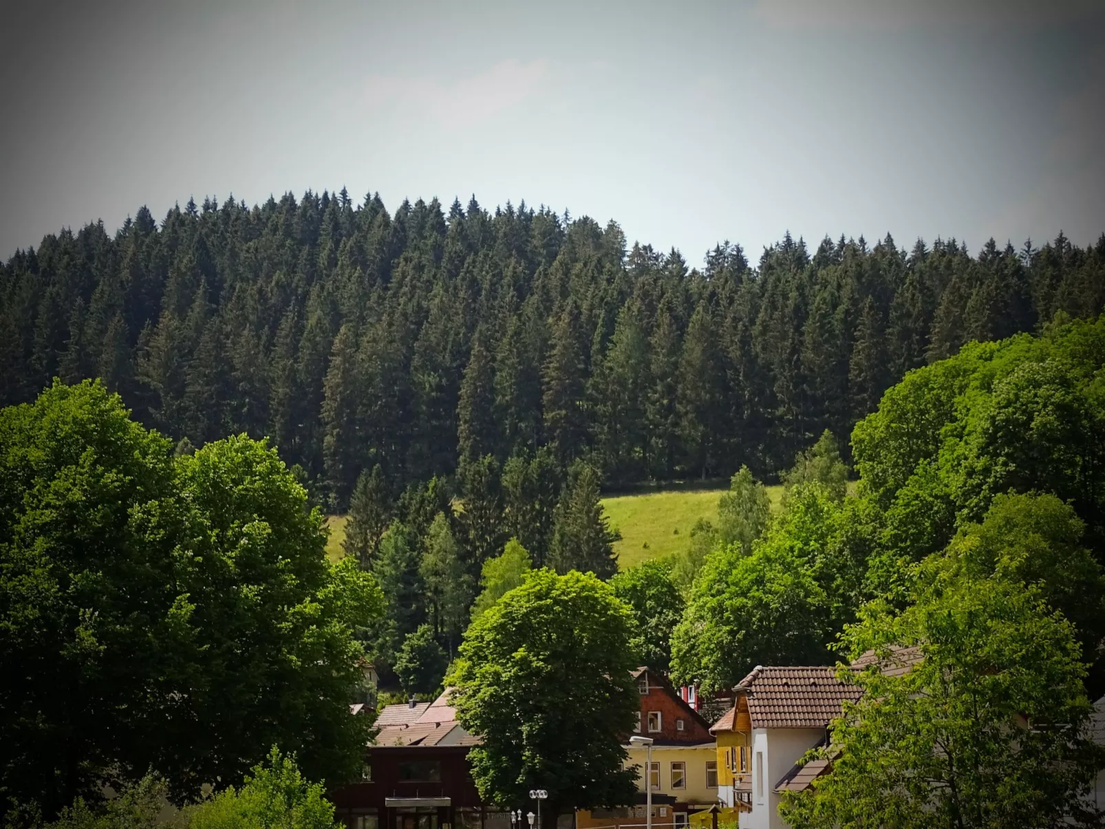 In Wildemann mit Terrasse-Draußen