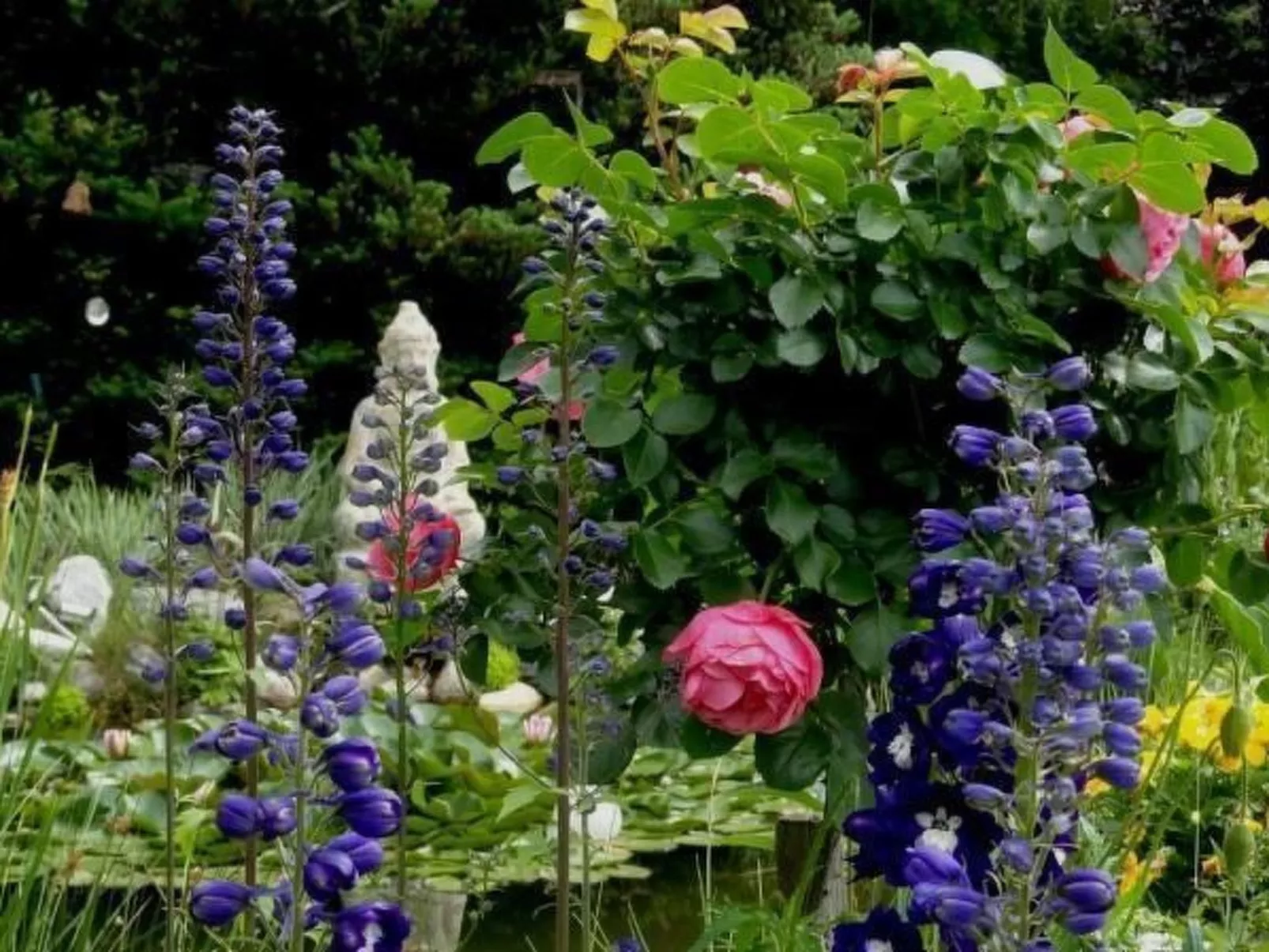Wunderschöne Wohnung in Seeboden mit Großem Garten - Image-tags.info