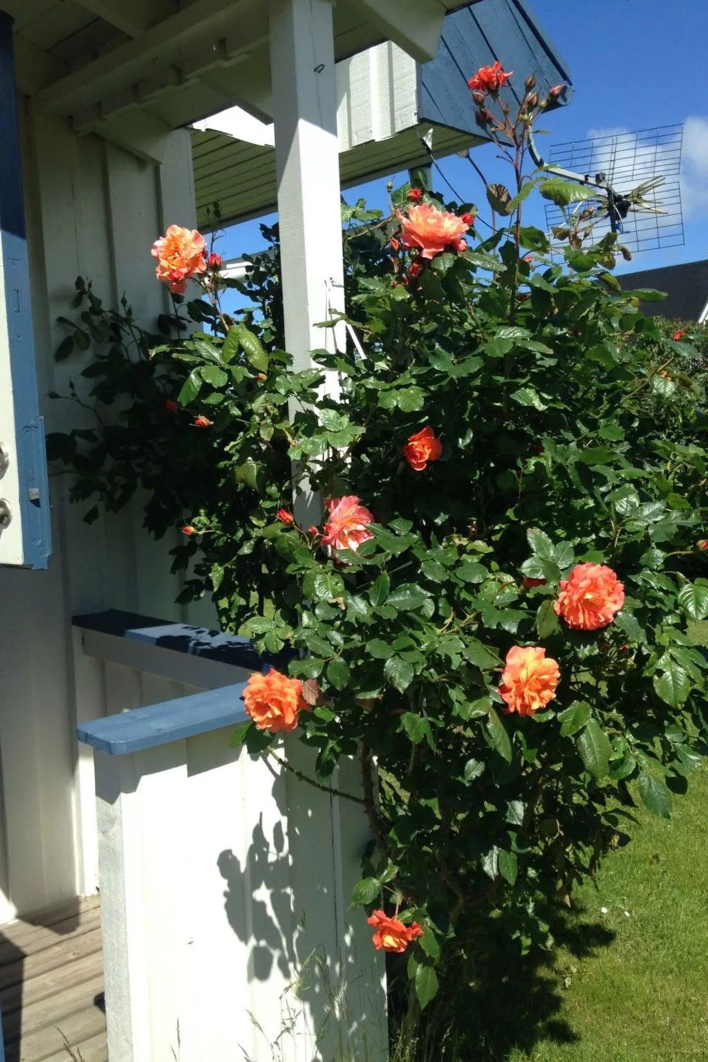 "Torekov" mit Blick auf das Wasser-Dehors