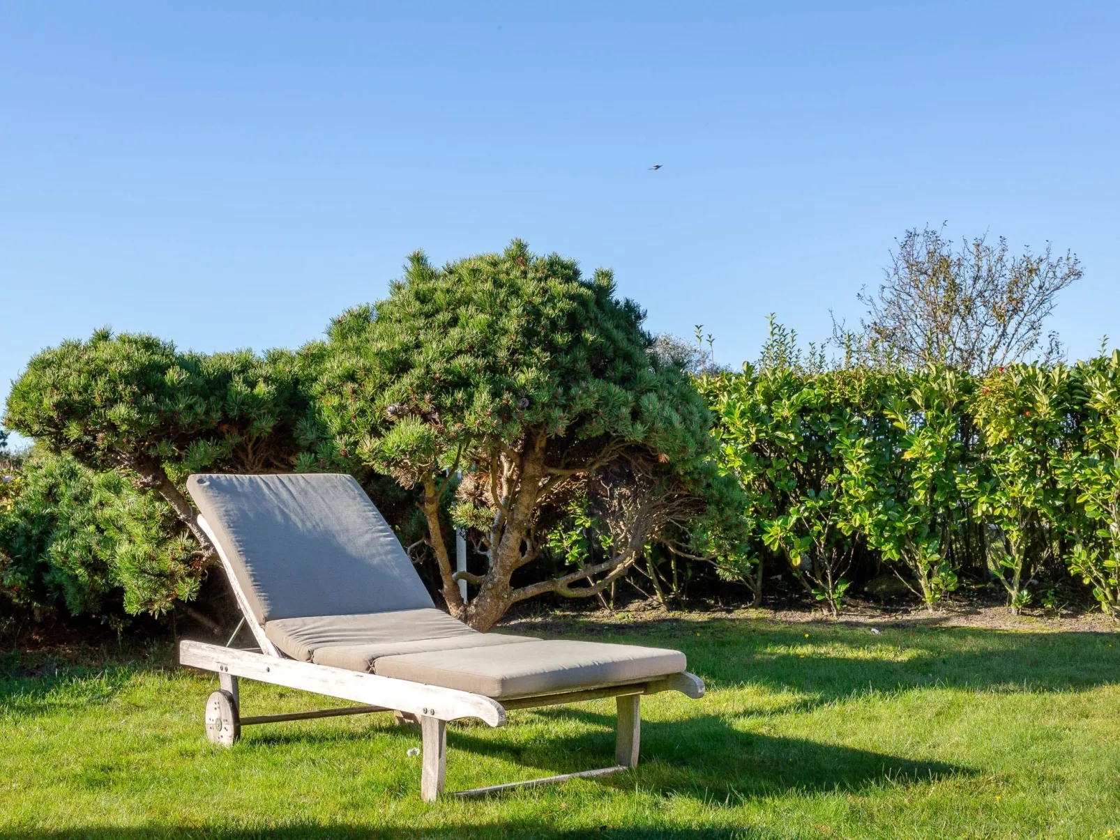 Sönshörn - S8M - in Munkmarsch-Outside