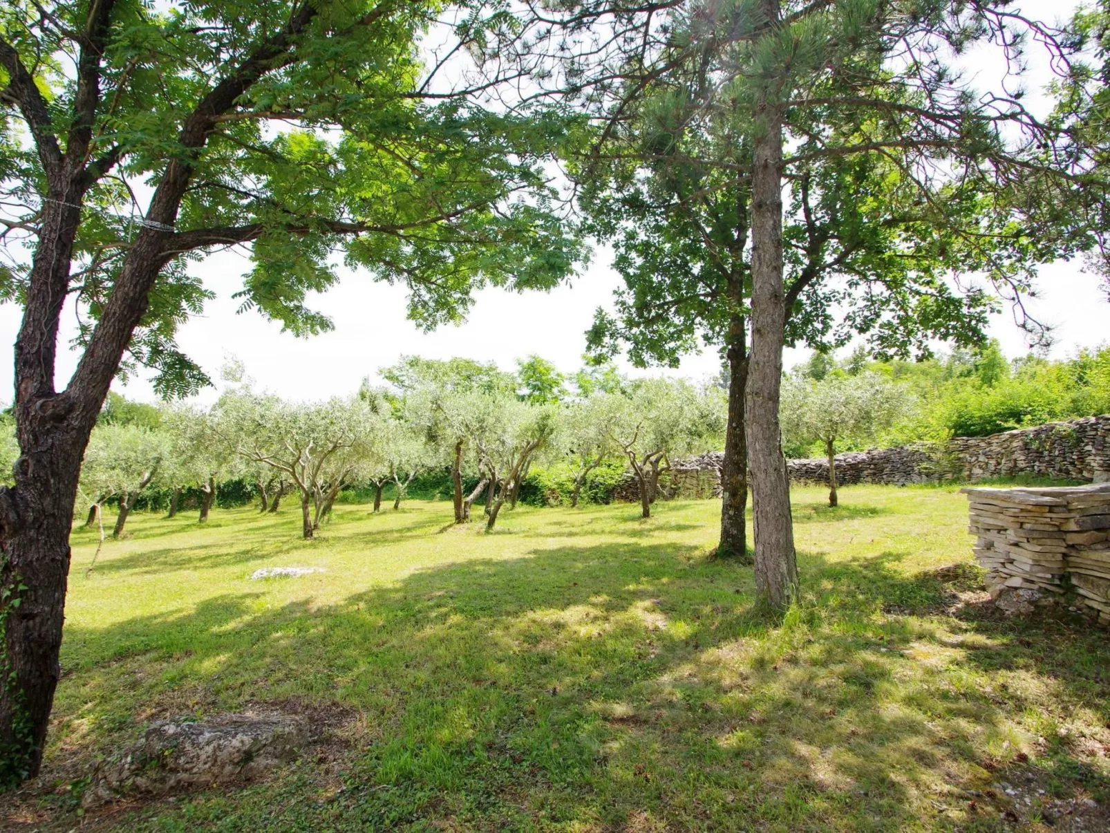 Ferienvilla "Nikolina"-Draußen