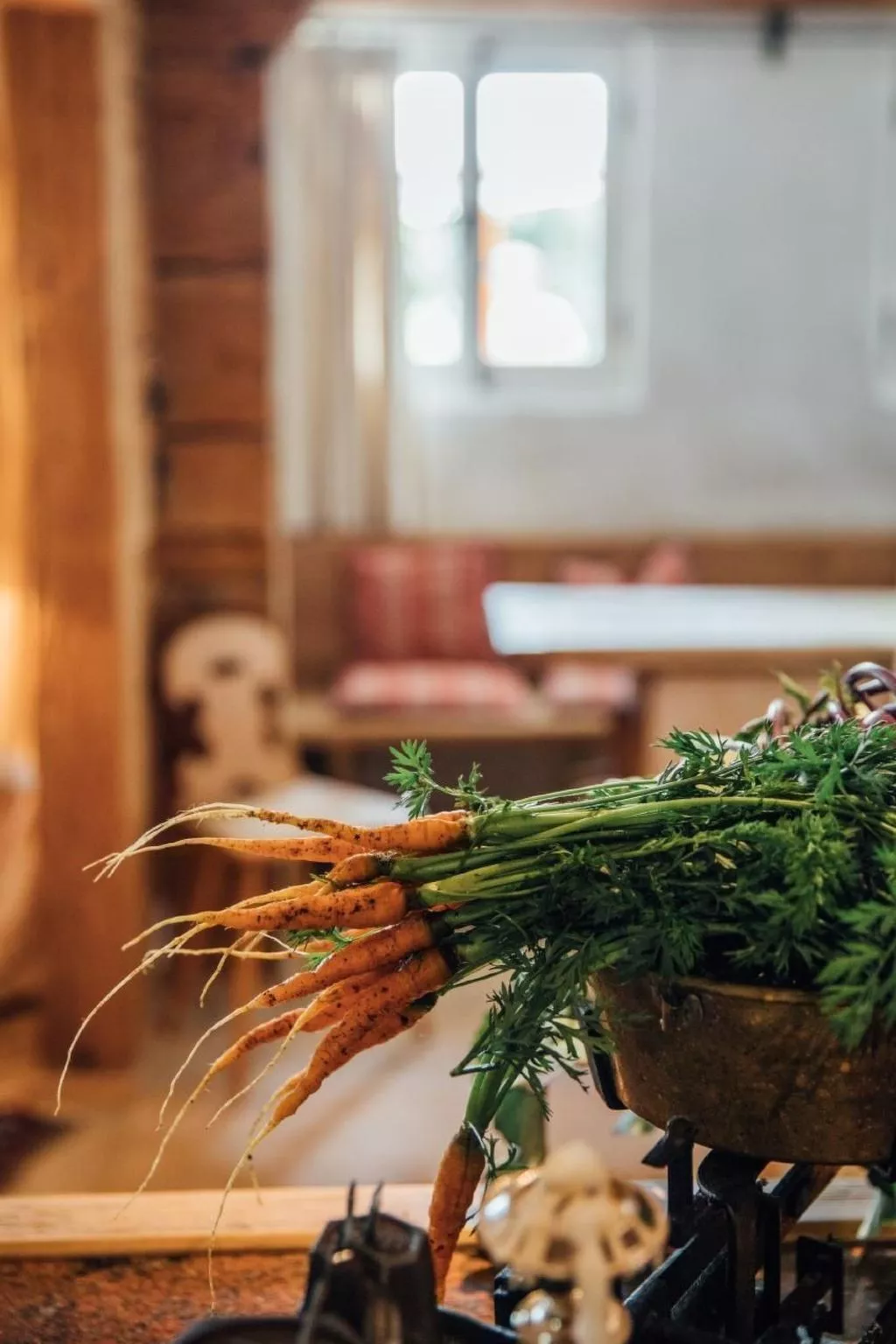 Alphütte Lenk-Gstaad-Drinnen
