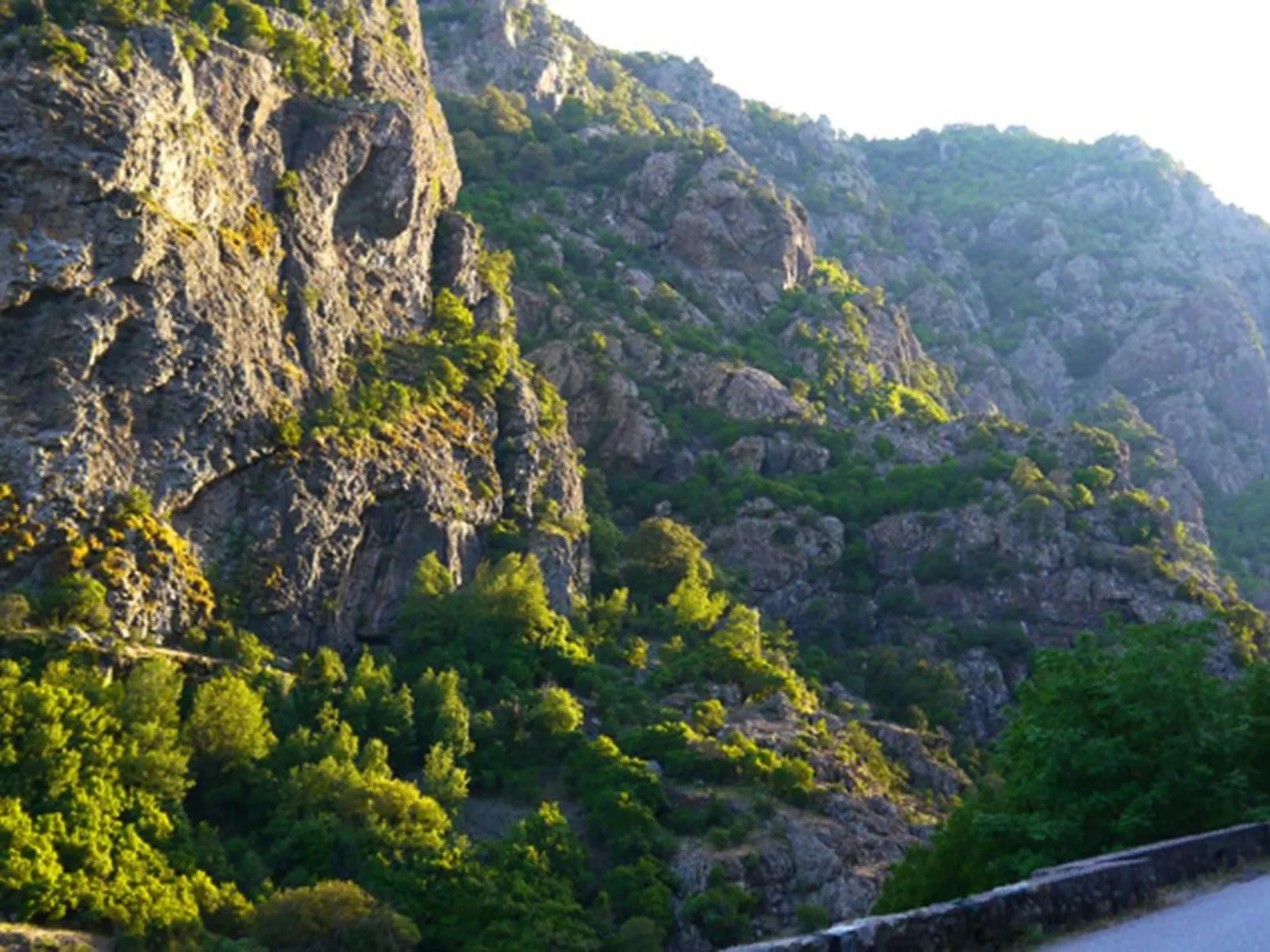 Haus mit Garten, Grill und Terrasse-Draußen