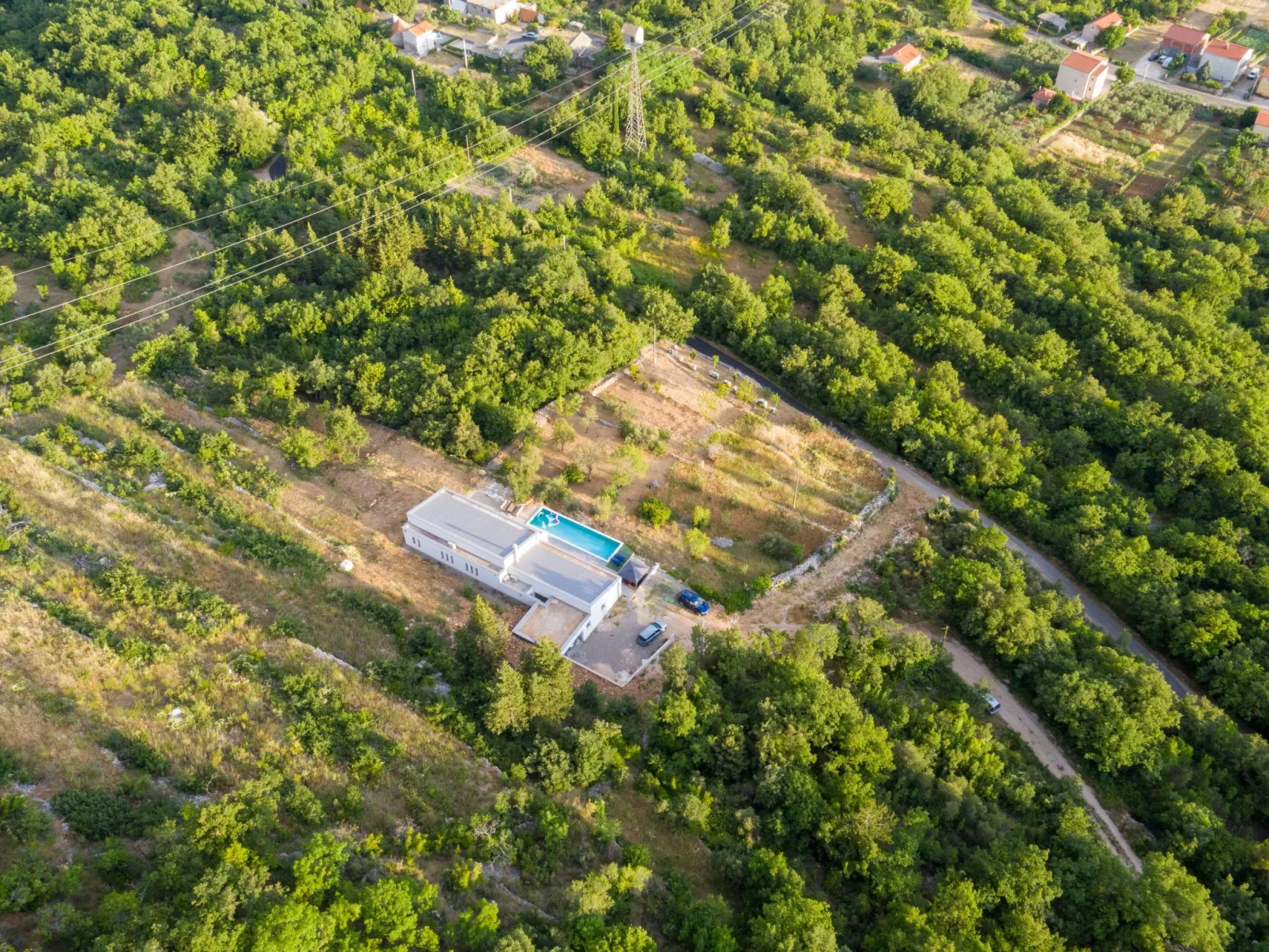 La Finca OliveTree-Outside
