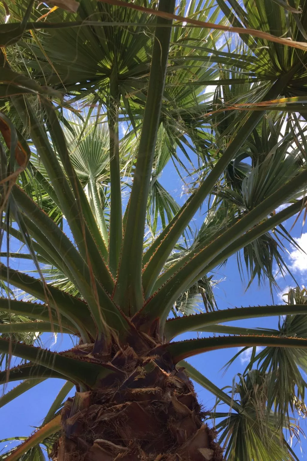 Für sechs Personen mit Terrasse im Erdgeschoss gelegen-Outside