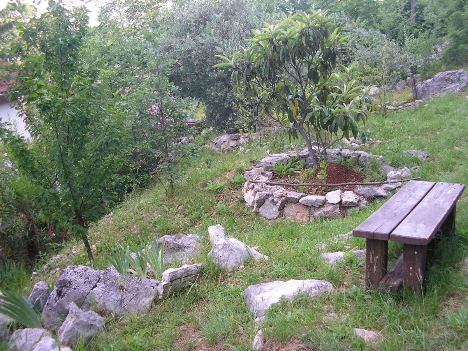 Mit Terrasse-Draußen