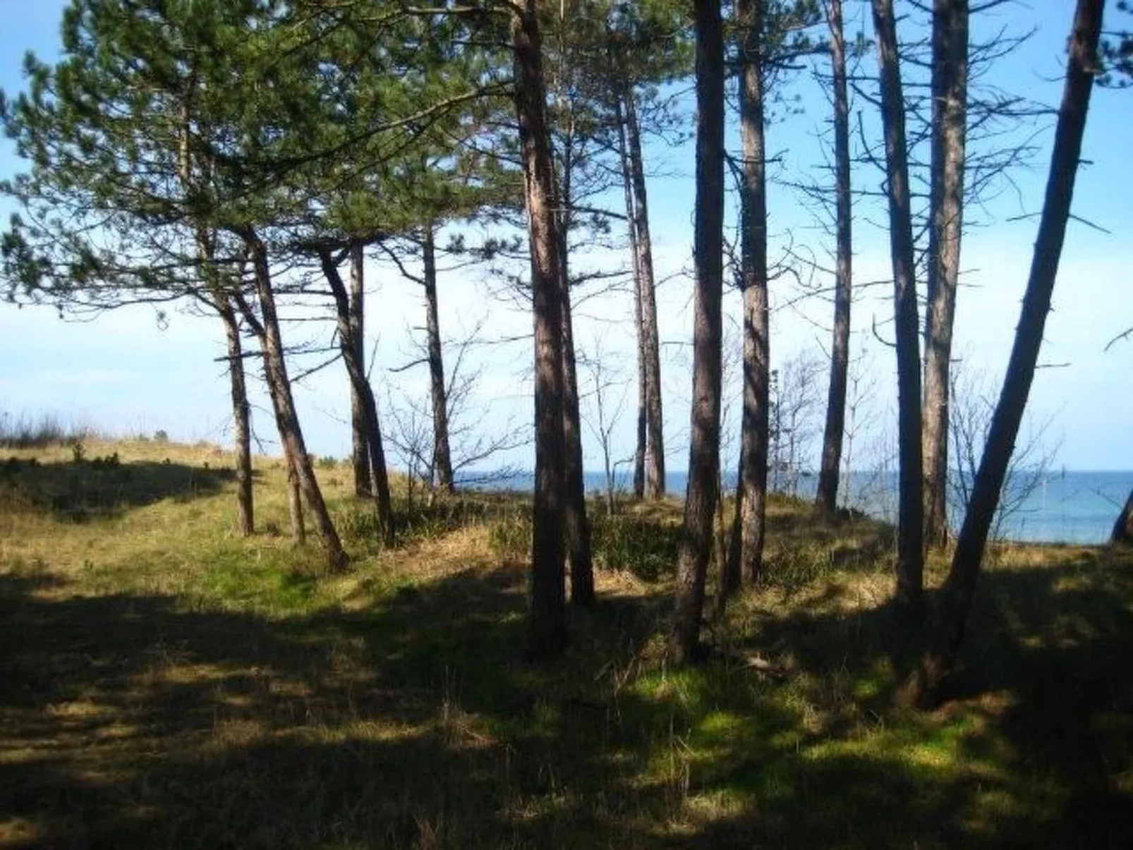 Ganzjährig bewohnbares Ferienhaus direkt am Strand von Dźwirzyno-Outside
