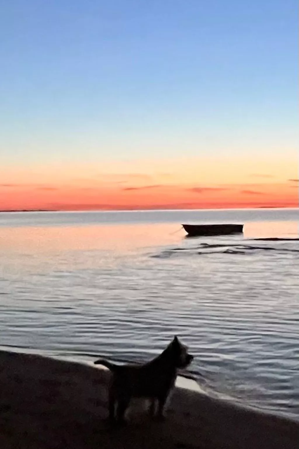 Lobster im Nauticum-Outside