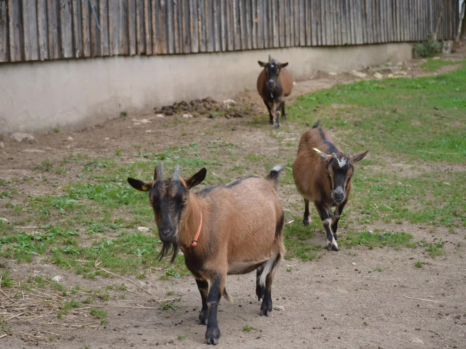 Großzügiges Ferienstudio für zwei Personen-Draußen