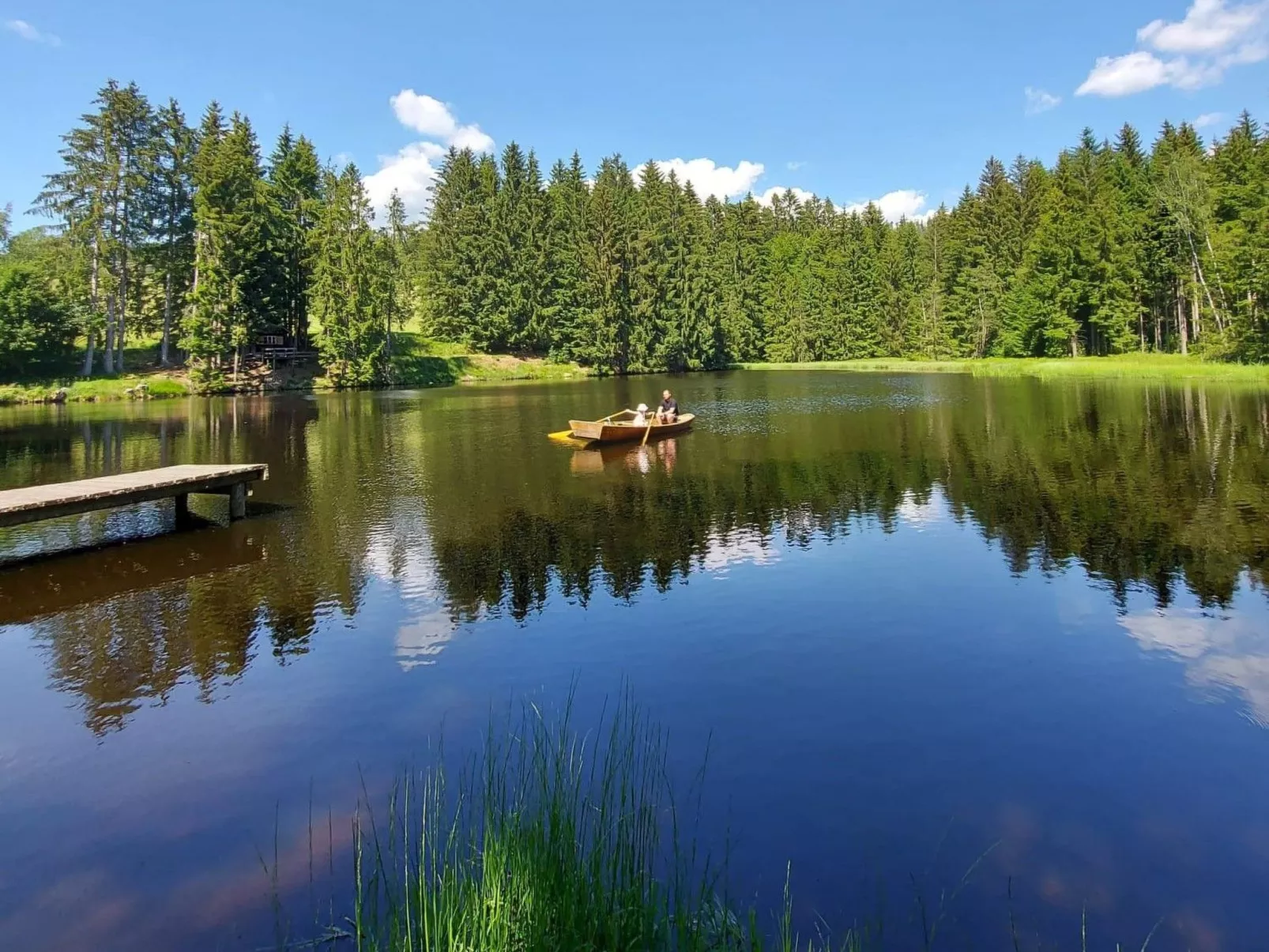 Wohnung Dreisessel im Bayerischen Wald-Draußen