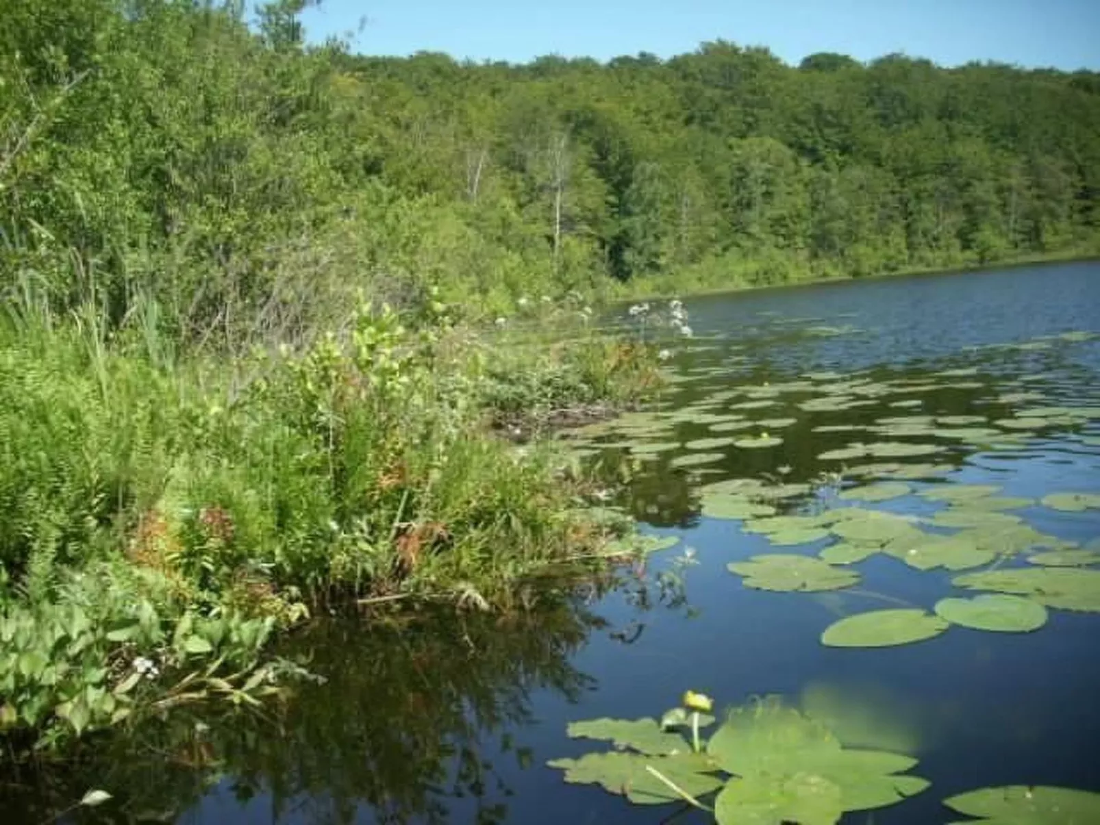 Domizil für zwei-Image-tags.info