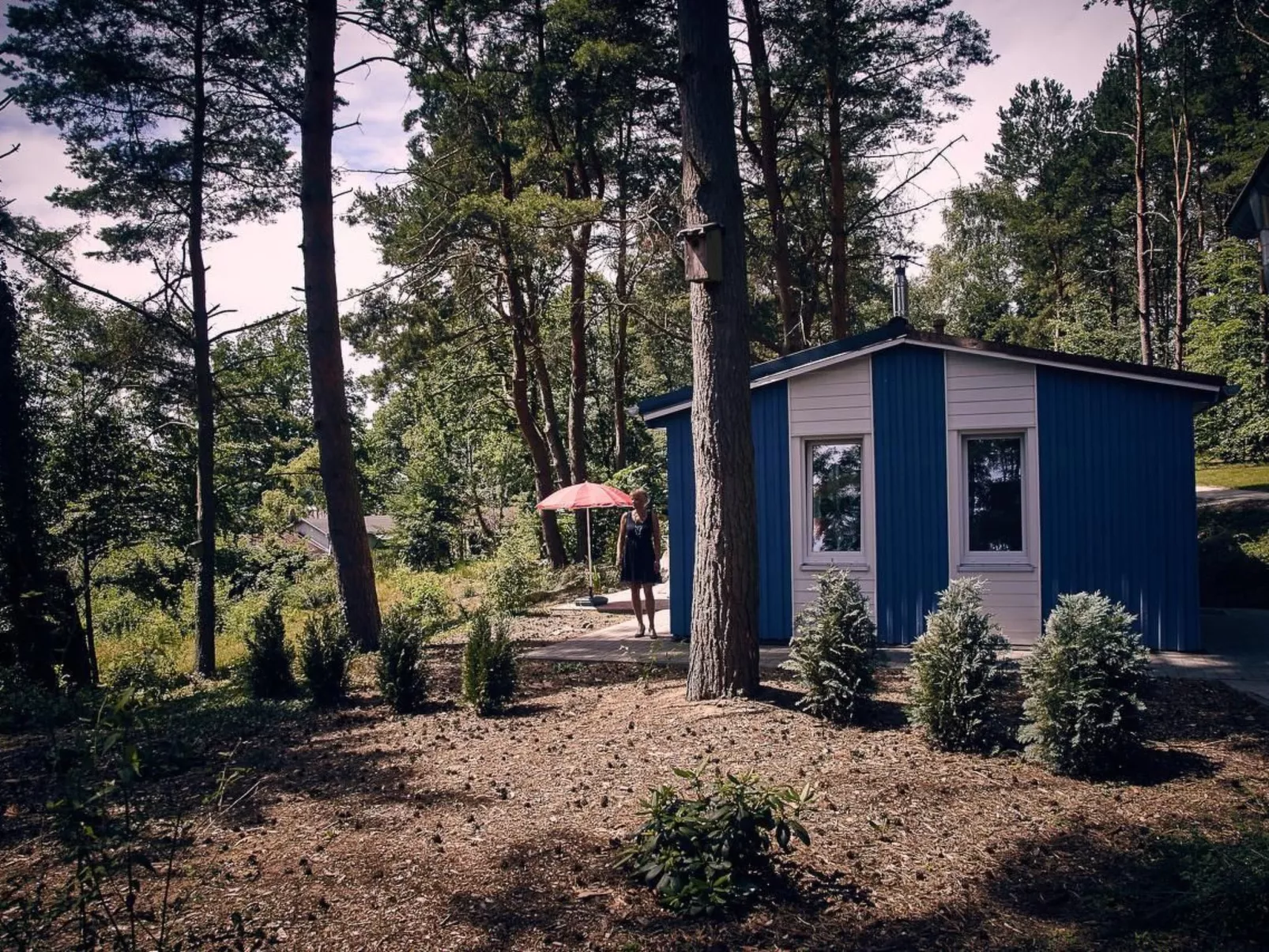 Anne-Image-tags.info