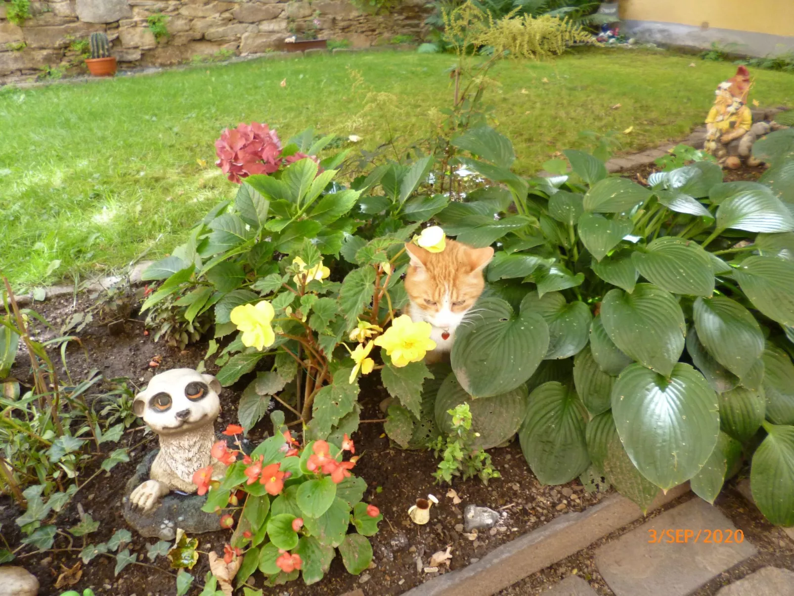 Im Vierseitenhof-Draußen