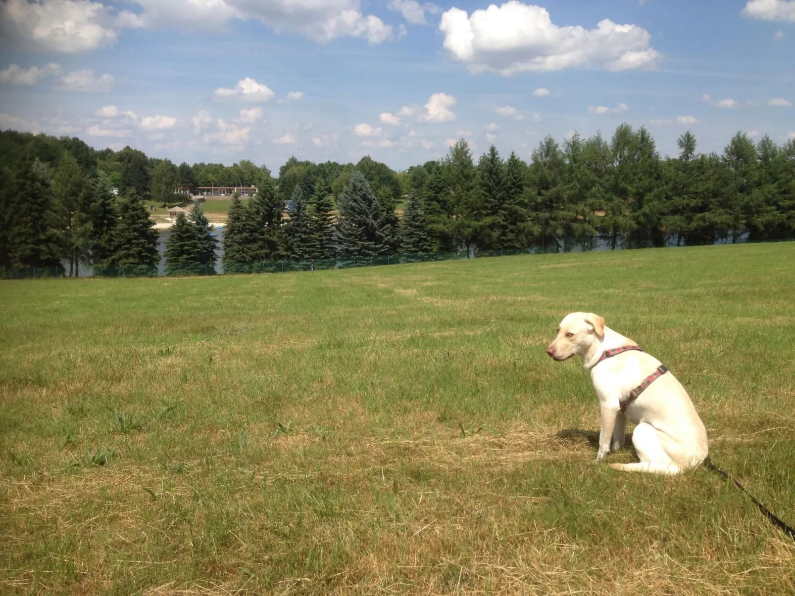Haus Waldesrauschen-Dehors