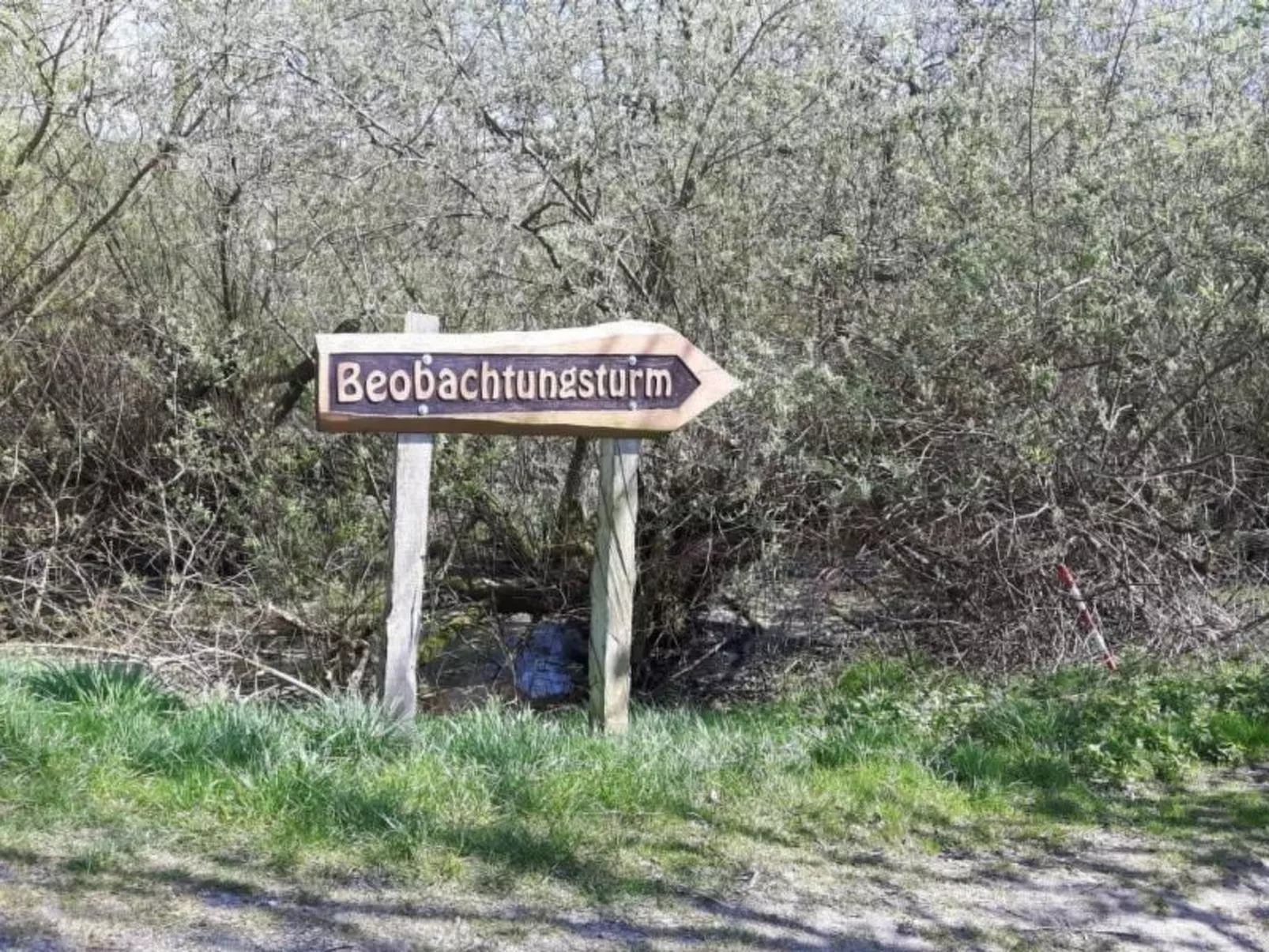 Ferienhaus Claire am Klostersee Urlaub mit Hund-Draußen