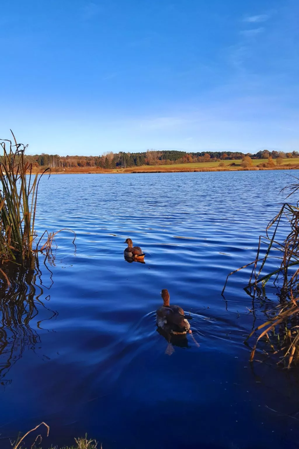 Landhaus Erika-Dehors