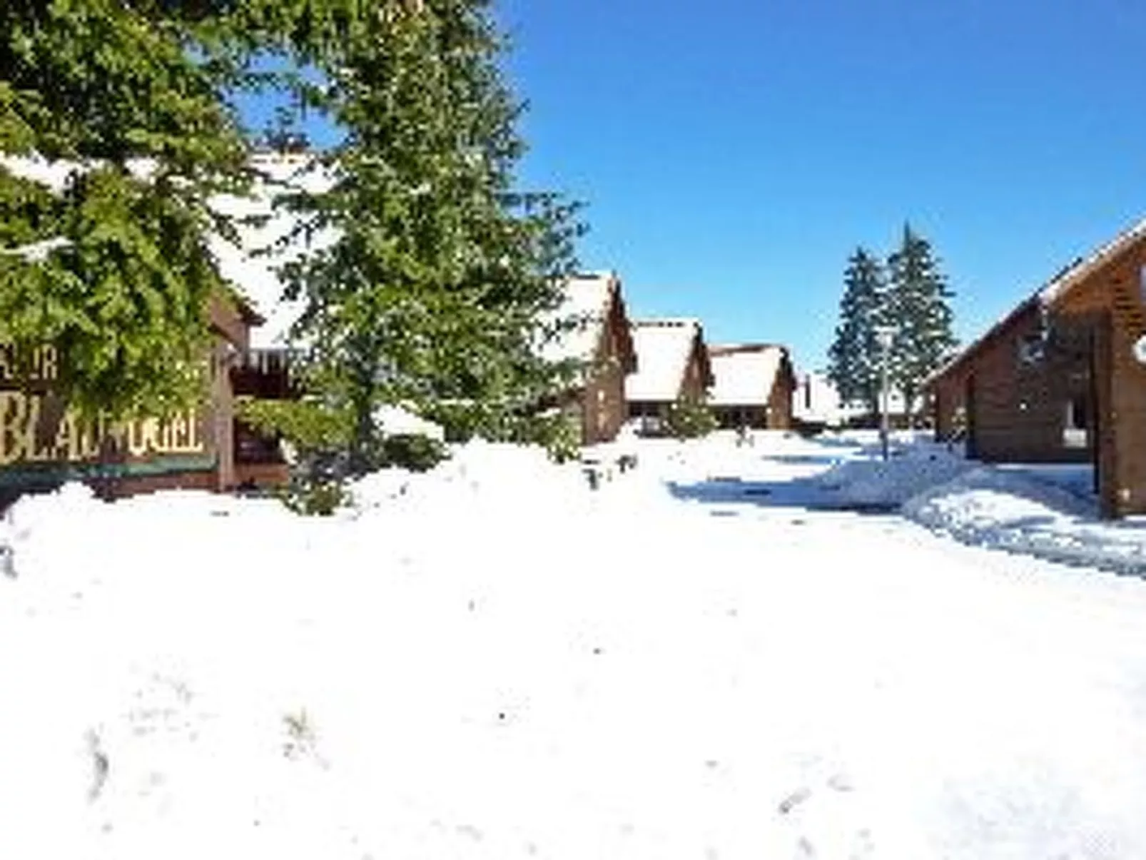 Blauvogel-Image-tags.info