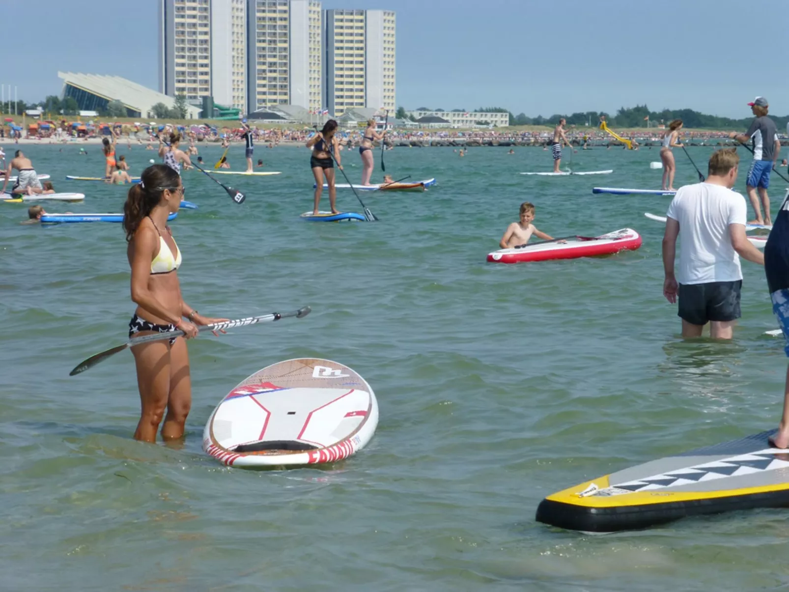 Heringsmöwe in Neue Tiefe-Draußen