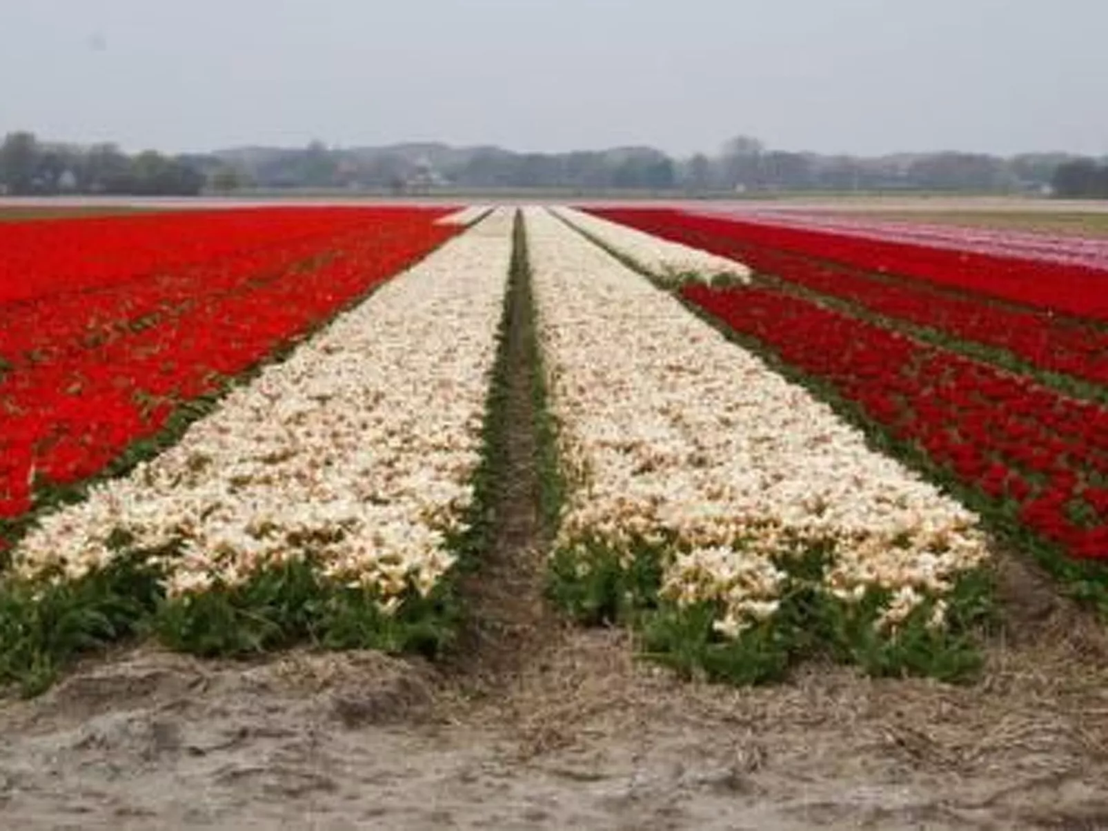 Ferienvilla mit Garten, Grill und Terrasse-Dehors