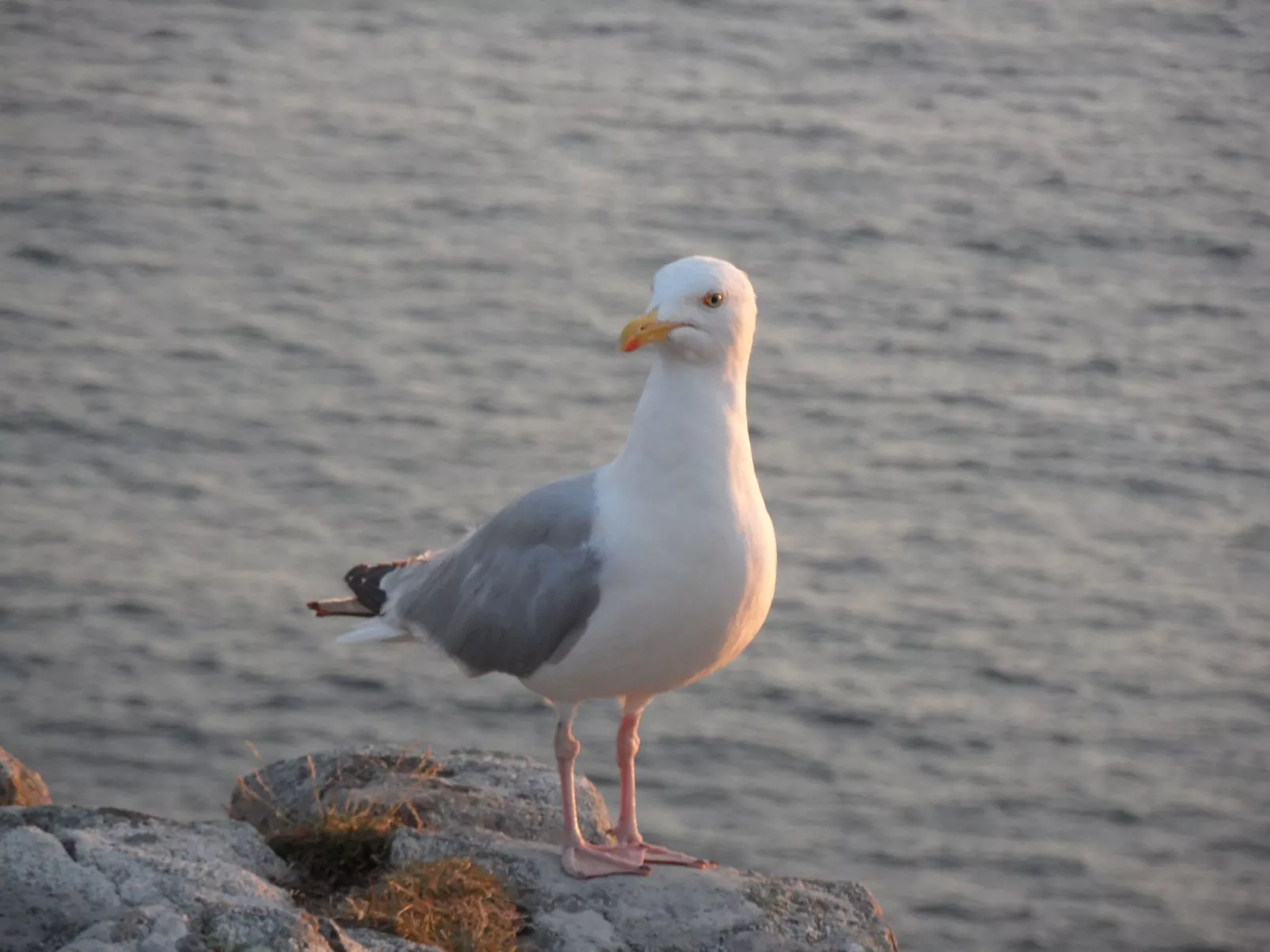 Gîte du four à pain (Unterkunft im Brotofen)-Dehors