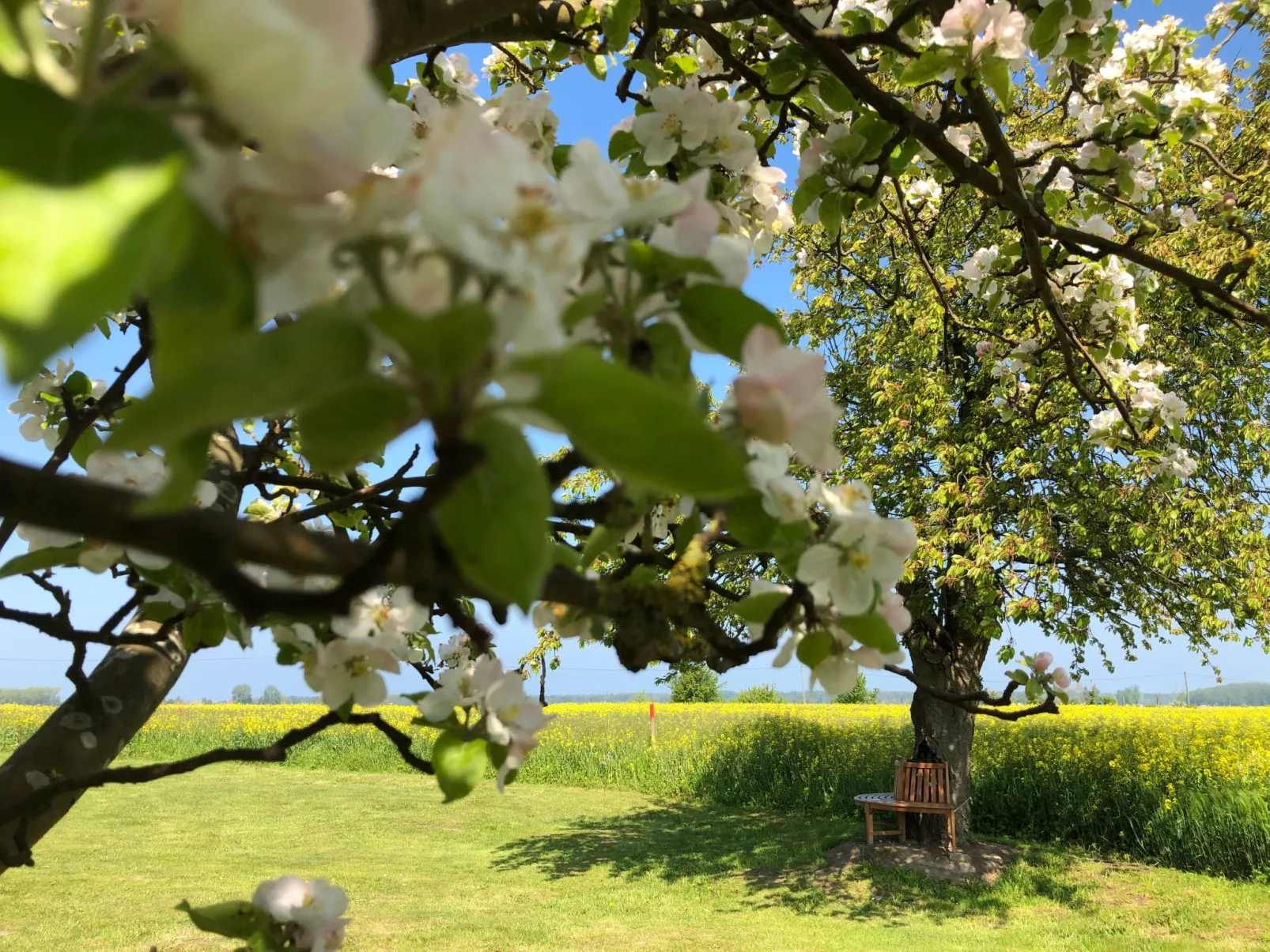 Bauernhaus auf Rügen-Dehors